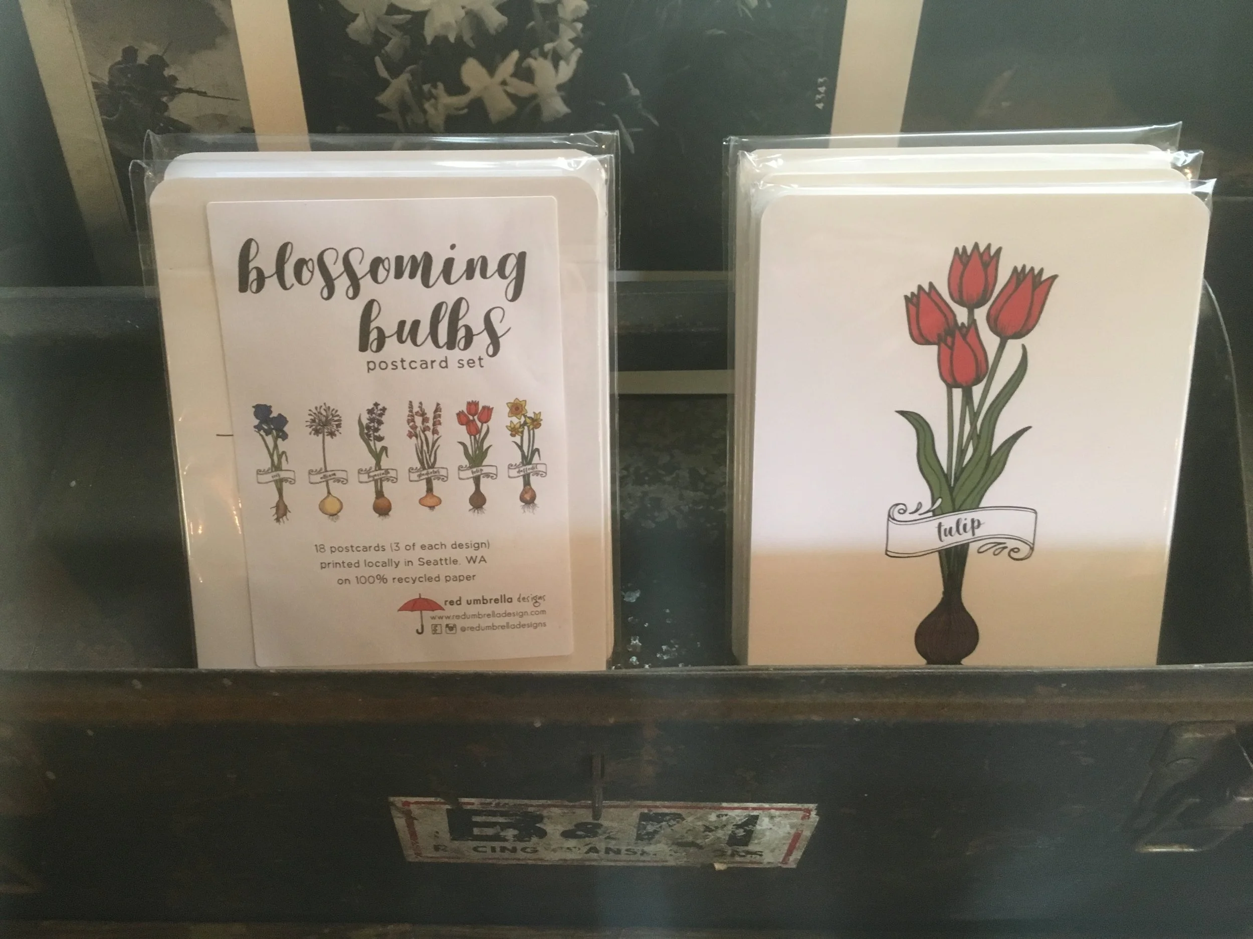 Blossoming Bulbs Card Set