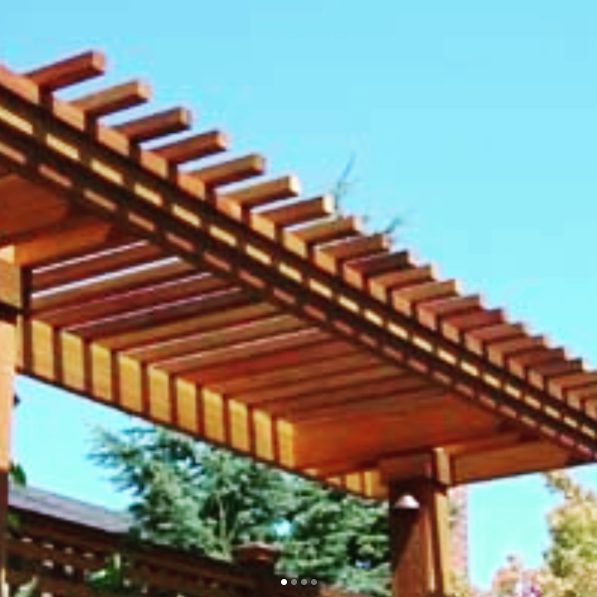arbor.png