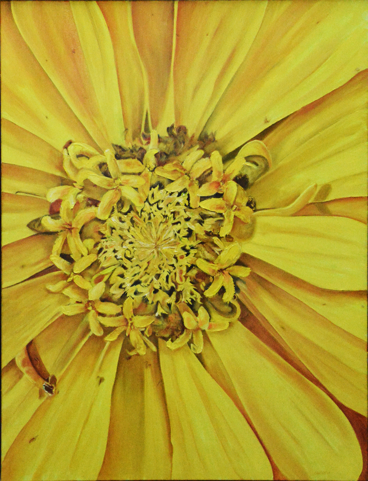 Sunburst
