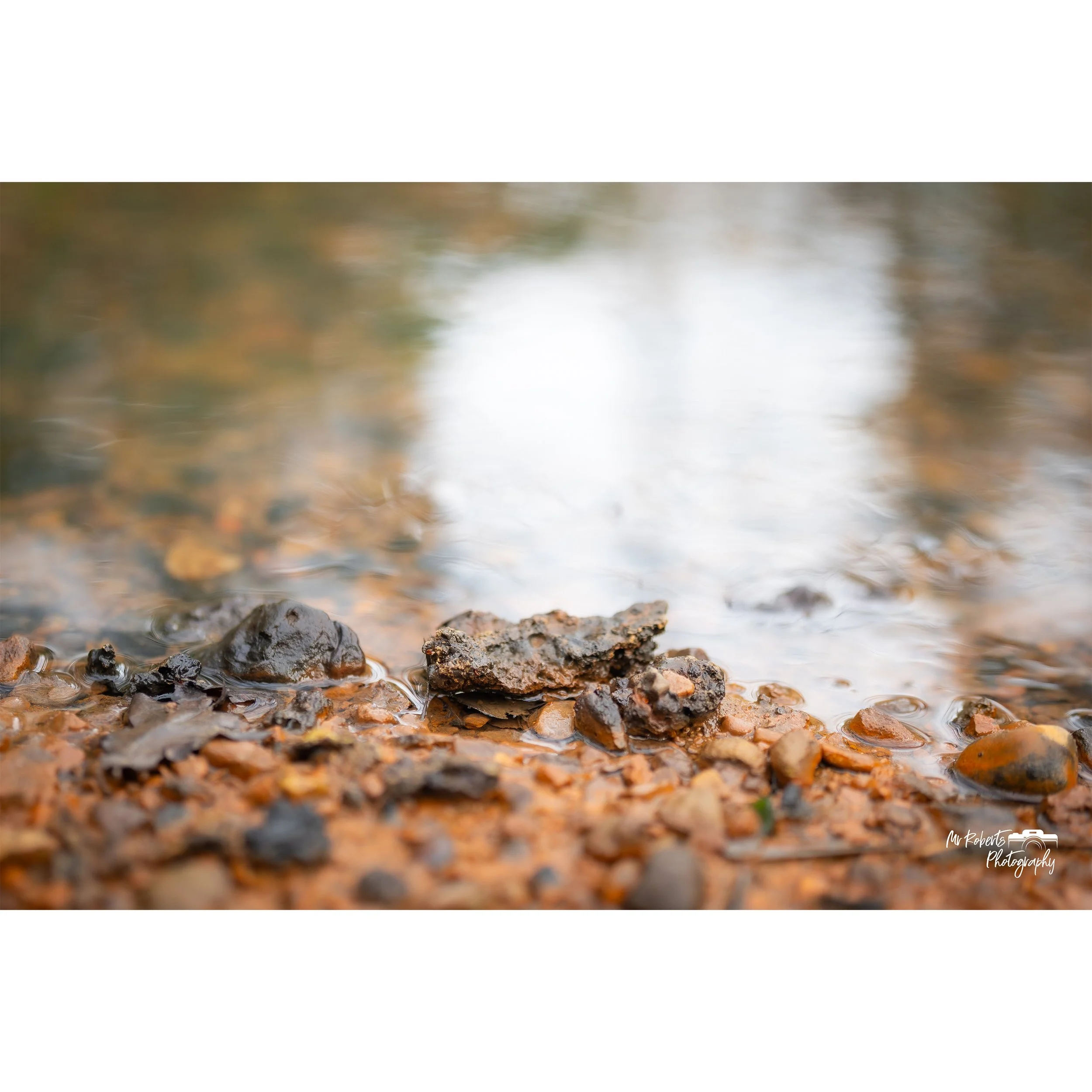 The river rae up close