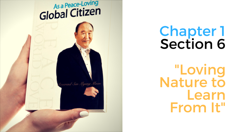 As A Peace Loving Global Citizen – 1.6