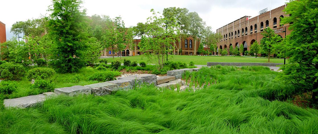 943_Shoemarker_Rain Garden_Panorama1.jpg