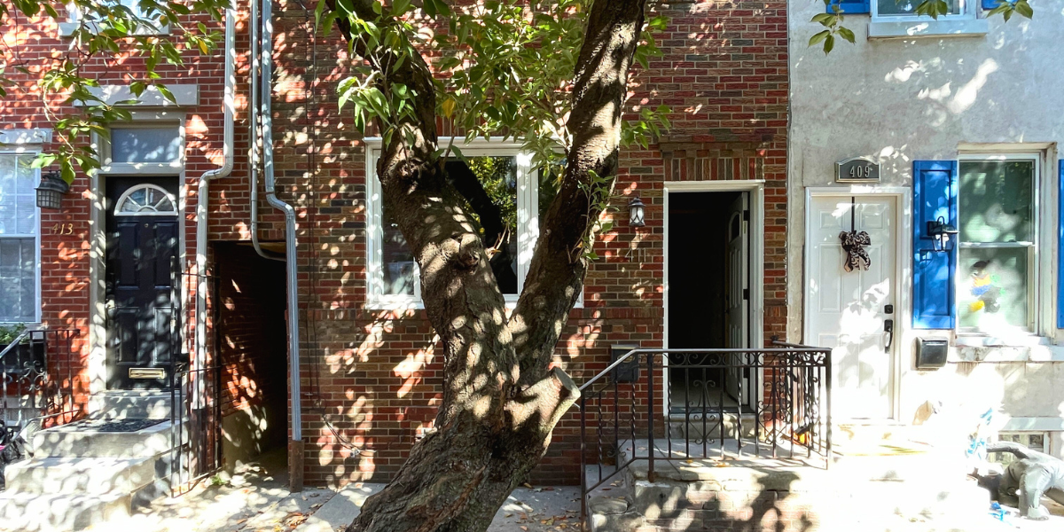 Bringing Green Stormwater Management Strategies to a Philly Rowhouse Reno