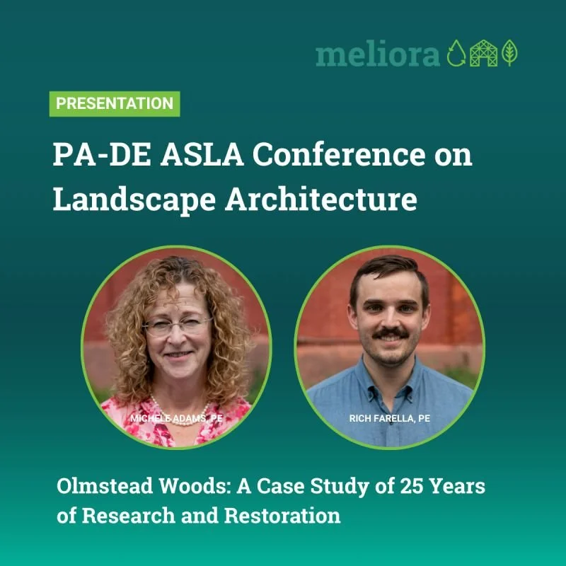 Presentation: 25 Years of Restoration and Research at Olmstead Woods