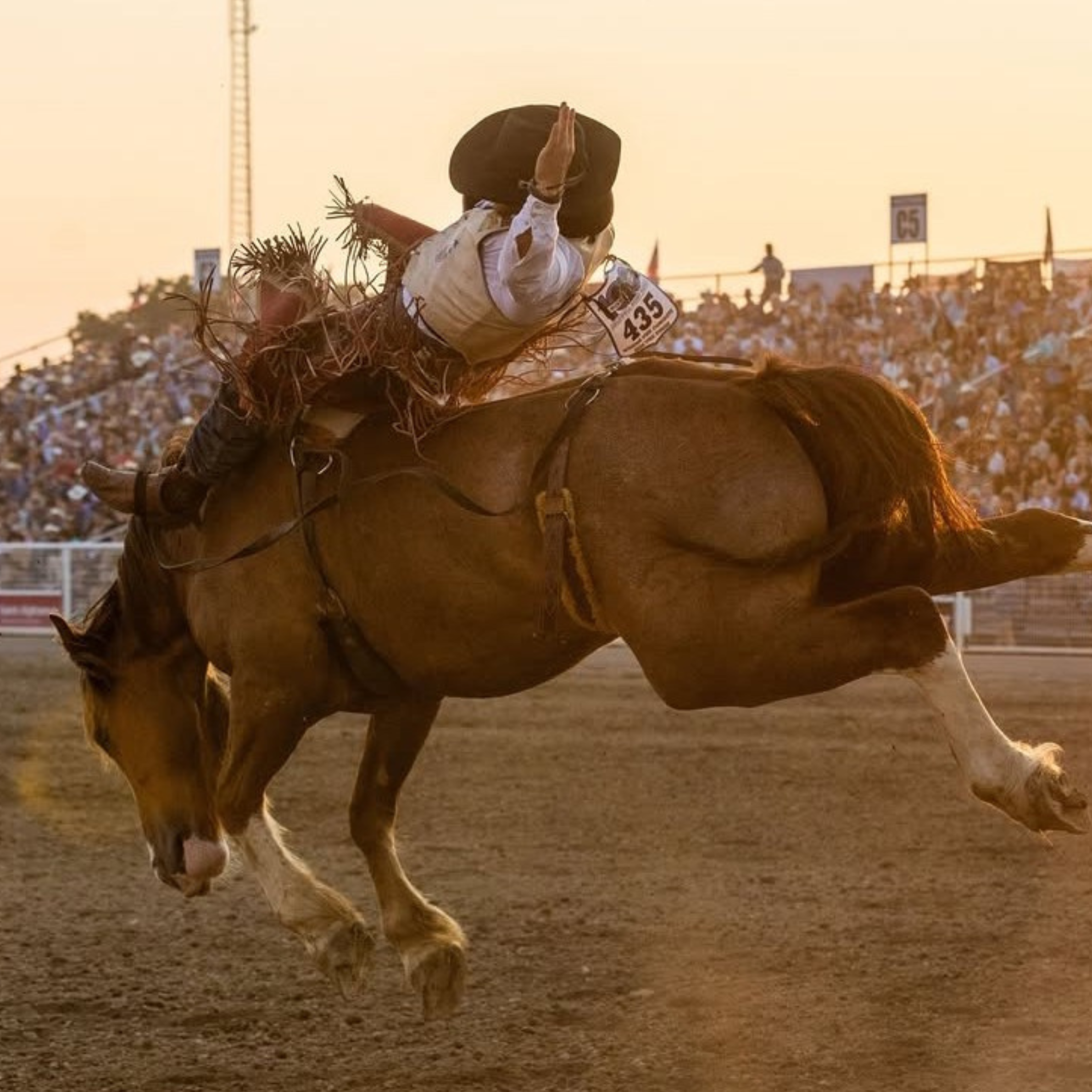 Caldwell Night Rodeo Kickoff