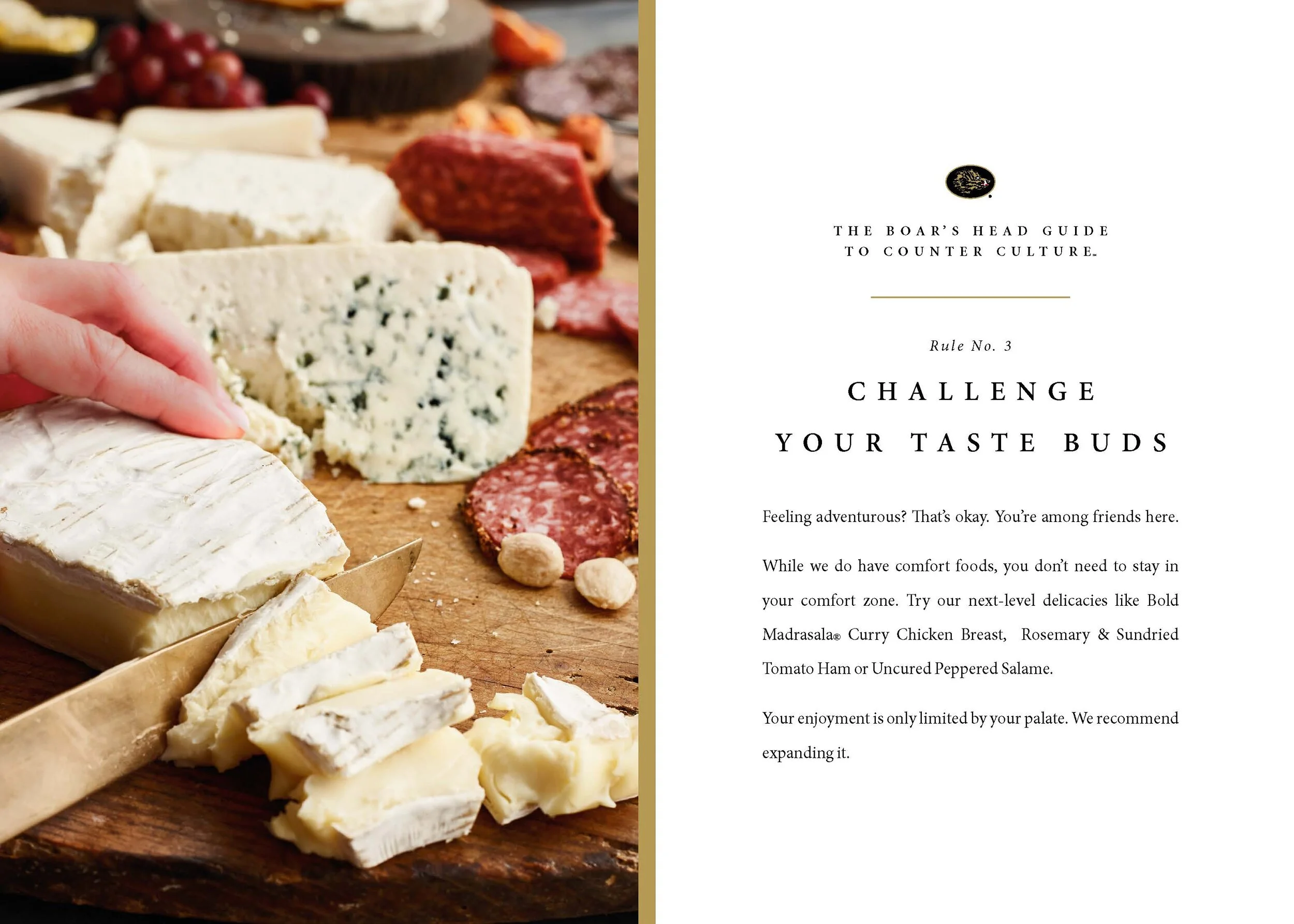 BOAH_19_R3258_Guide_To_Counter_Culture_Q3_5_25x7_5_V3_Page_03_Page_06.jpg