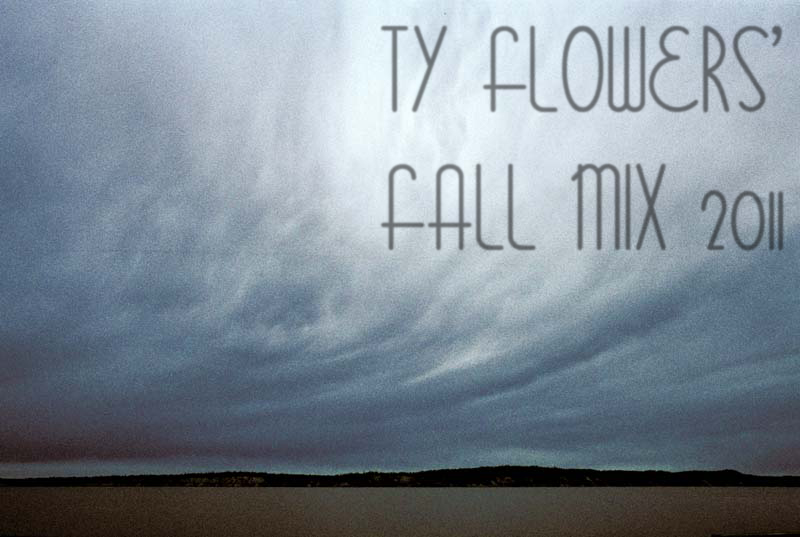 Ty Flowers Fall Mix 2011