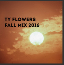 Ty Flowers Fall Mix 2016