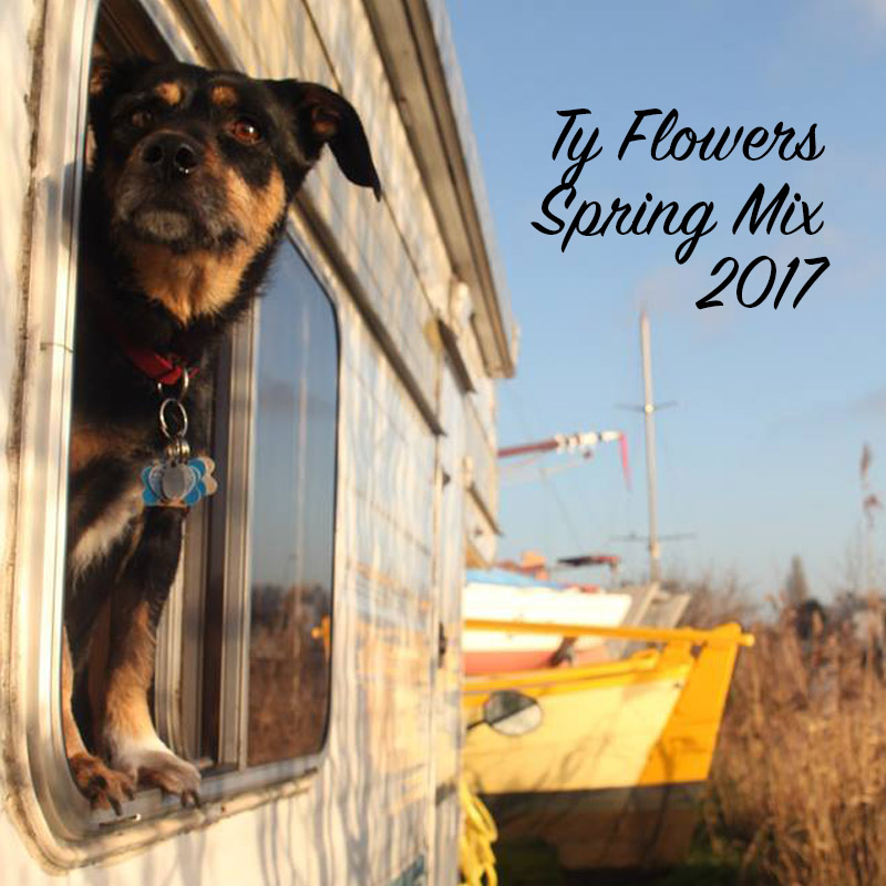 Ty Flowers Spring Mix 2017