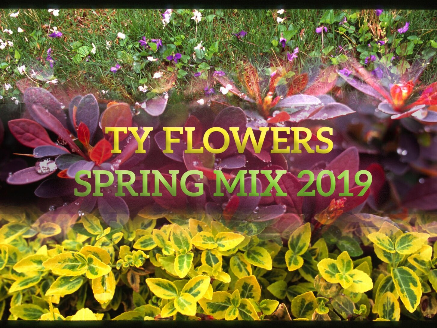 Ty Flowers Spring Mix 2019
