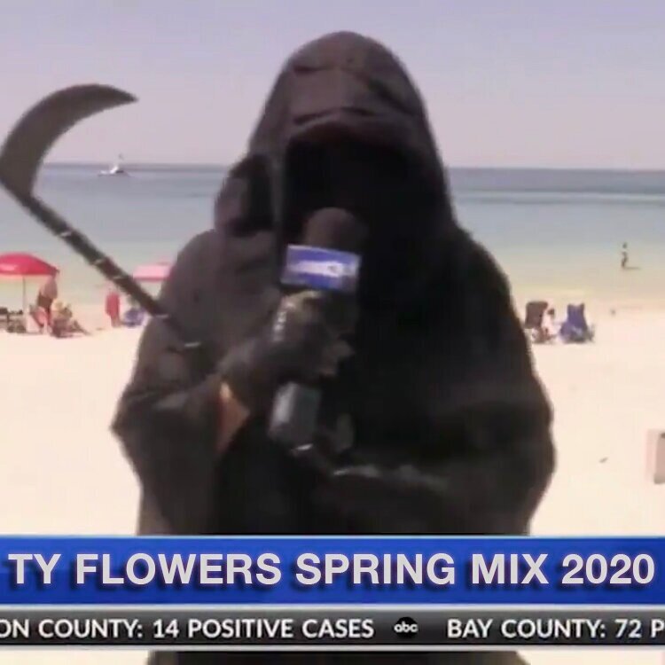 Ty Flowers Spring Mix 2020