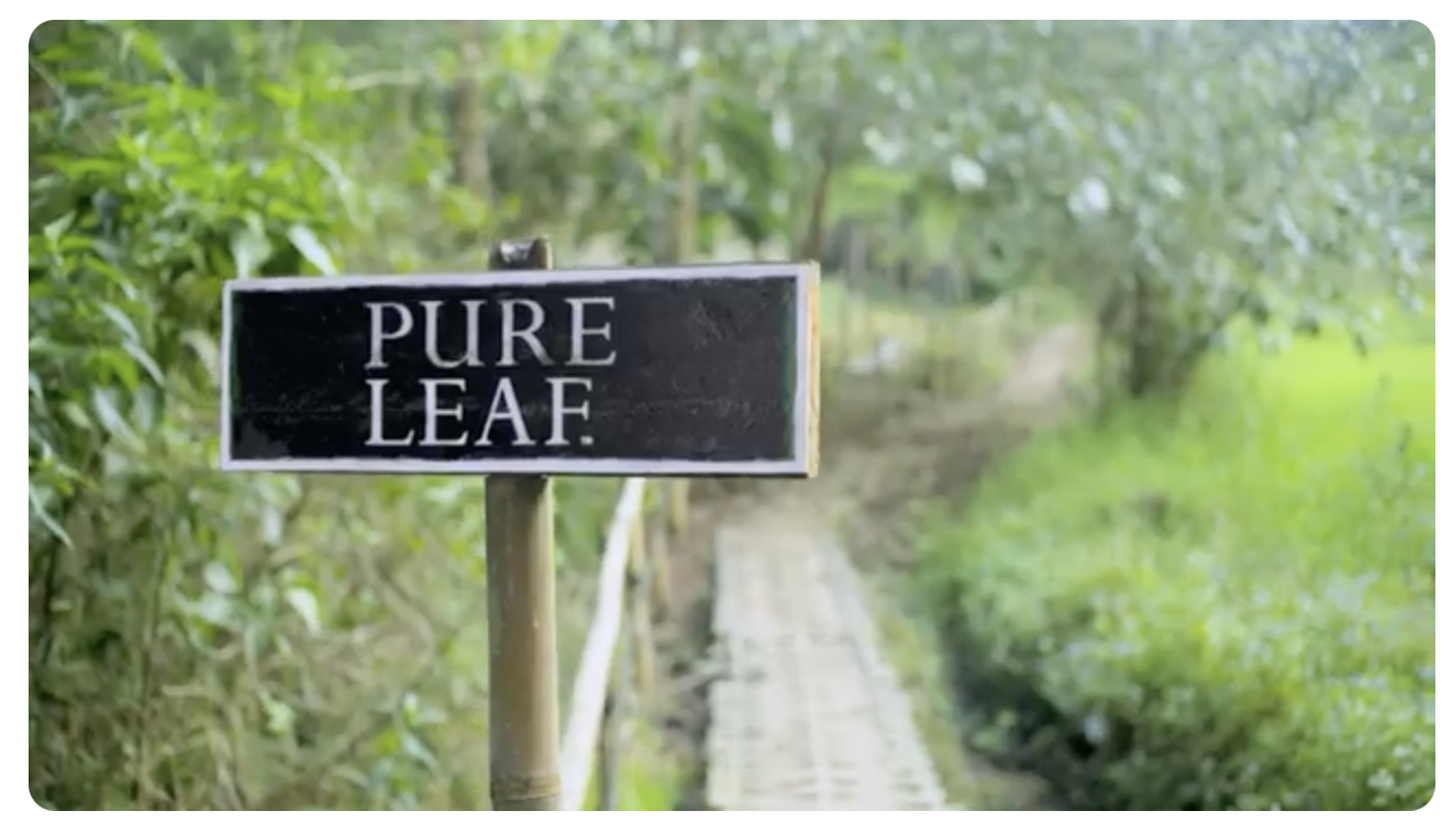 Pure Leaf Tea (Pepsico) - Only the Finest Leaves