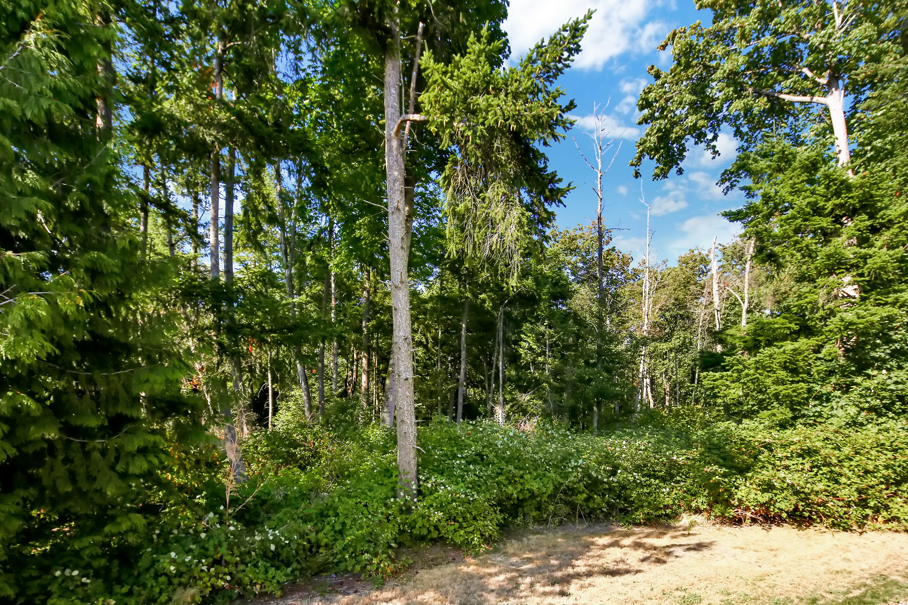 022_4268_Stonecrest.jpg