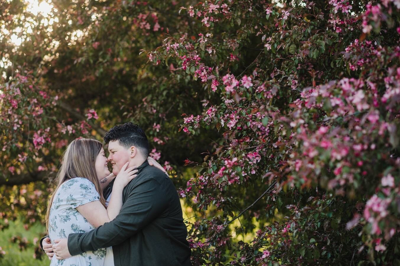 Worth the uphill hike to the pink tree. 👌🏻

#perrivanderclockphoto #bostonphotographer #bostoncouplesphotographer #bostonqueerphotographer #bostonlgbtqphotographer #lgbtqphotographer #queerphotographer #dancingwithher #arnoldarboretum #jpphotograph