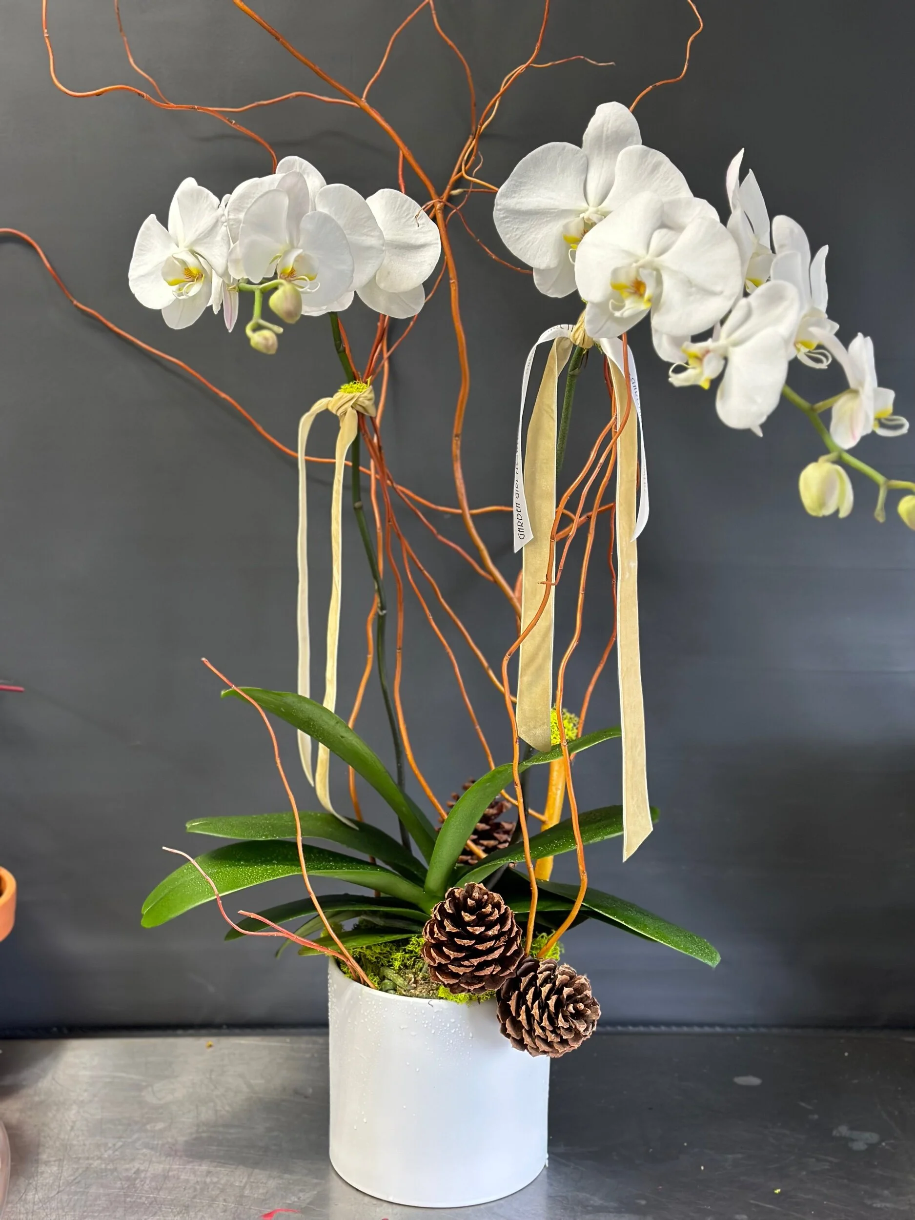 A6466AF4-509C-4B21-A34F-EBC3FCCA9F07