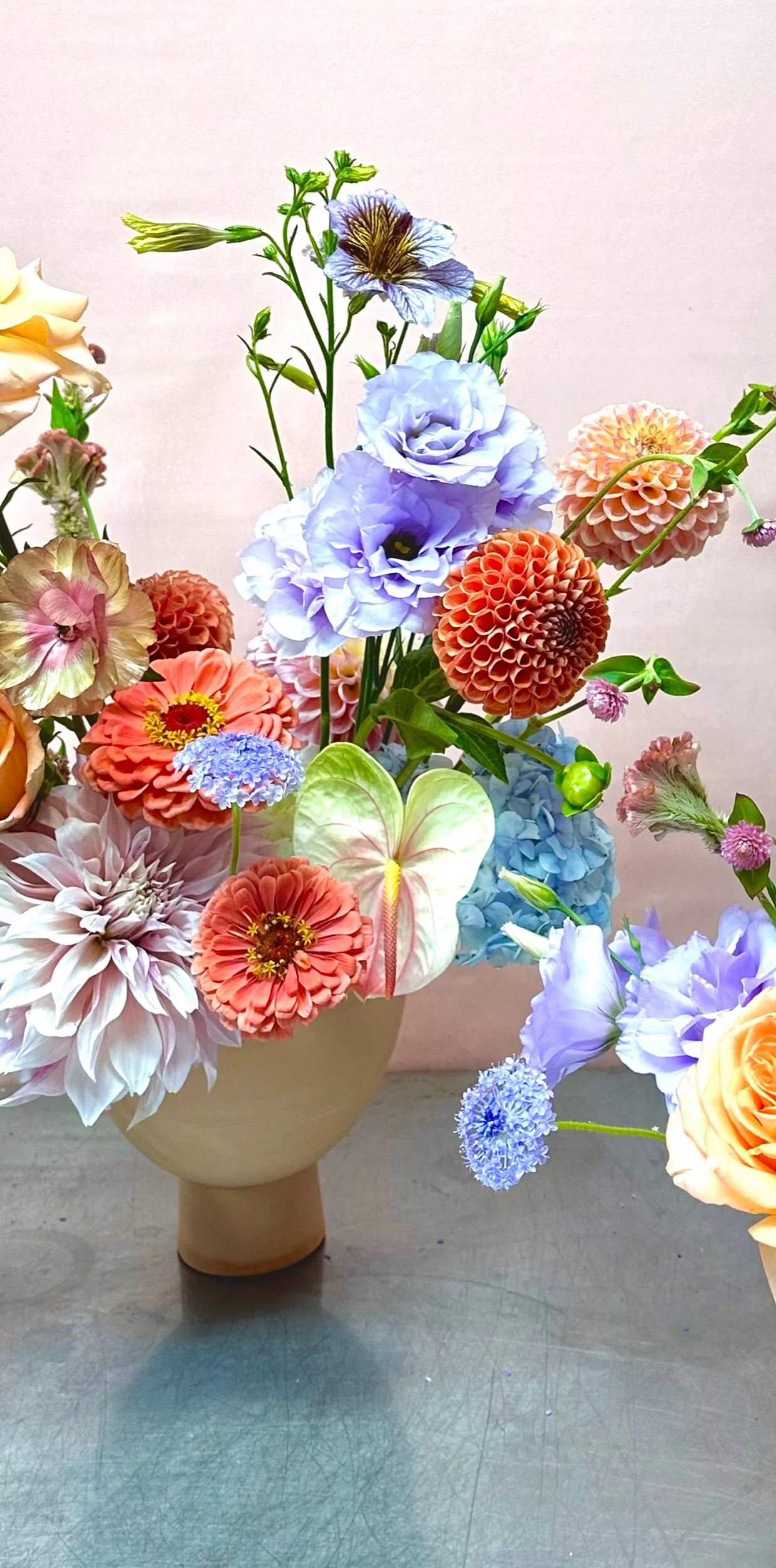 8600D6F0-5E1E-4202-AC8D-FA326EBEE8F2