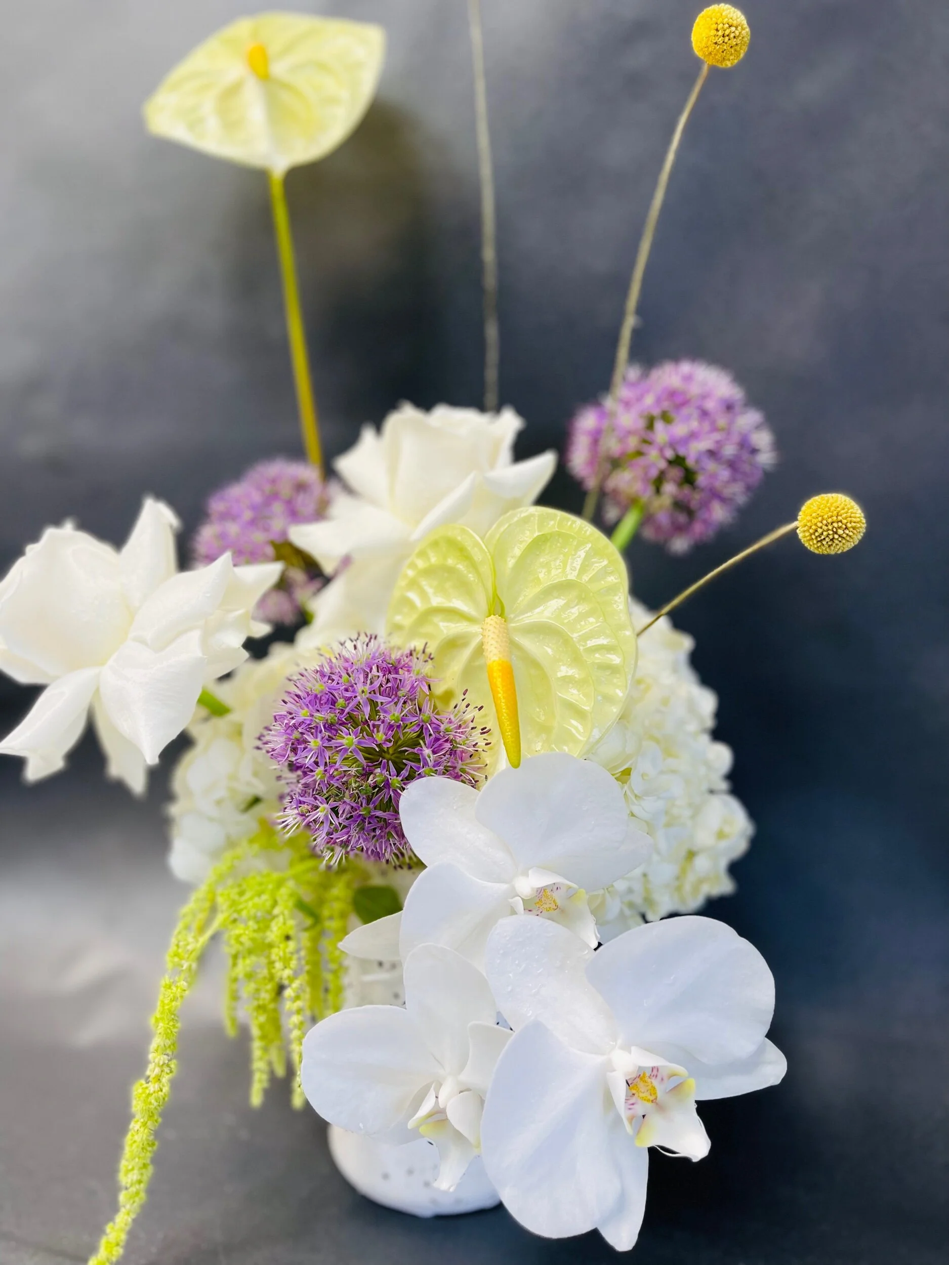 F9838590-0530-43B7-80B6-FDAC346214E3