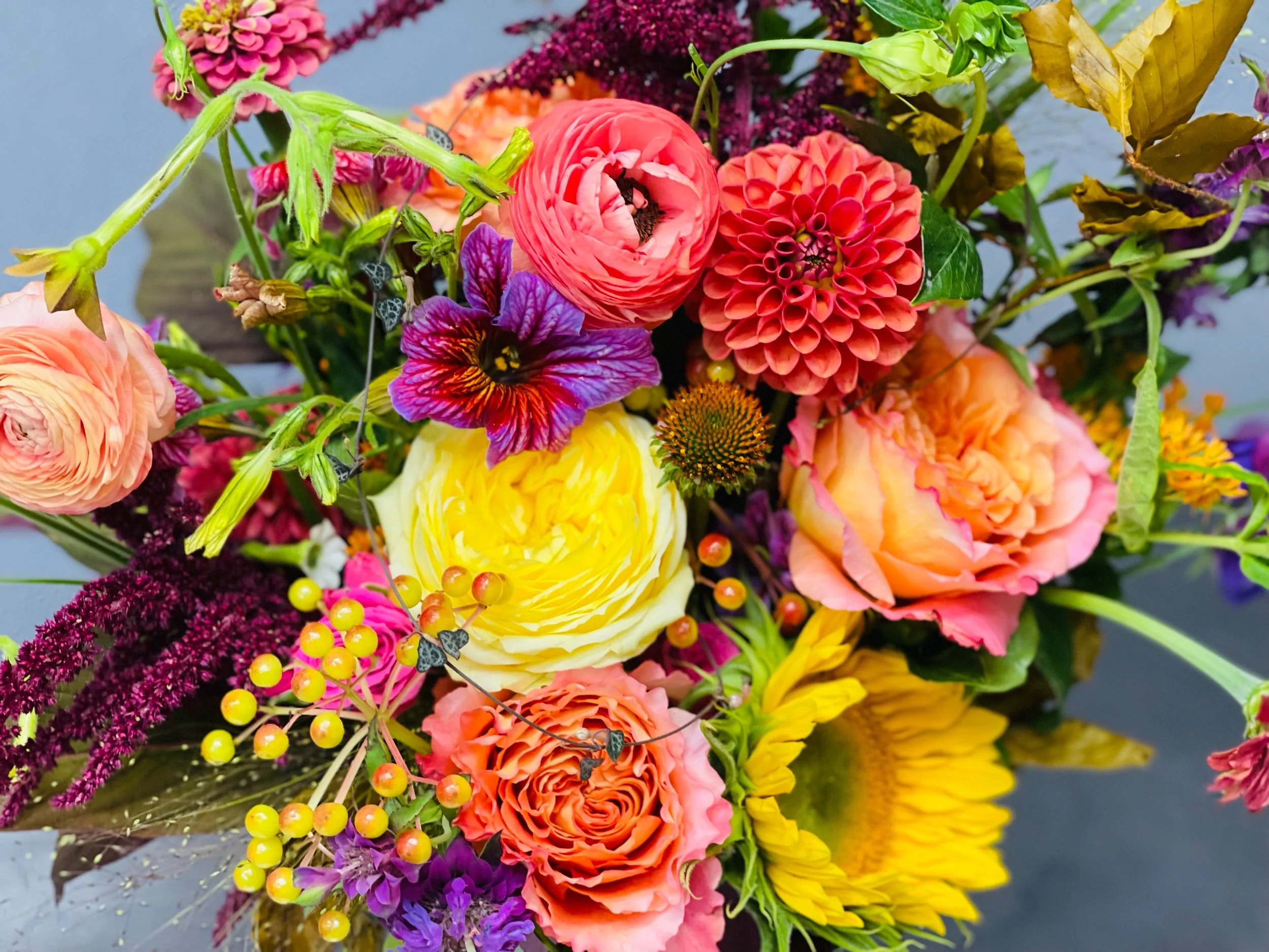 IMG_2316.jpeg (Copy)