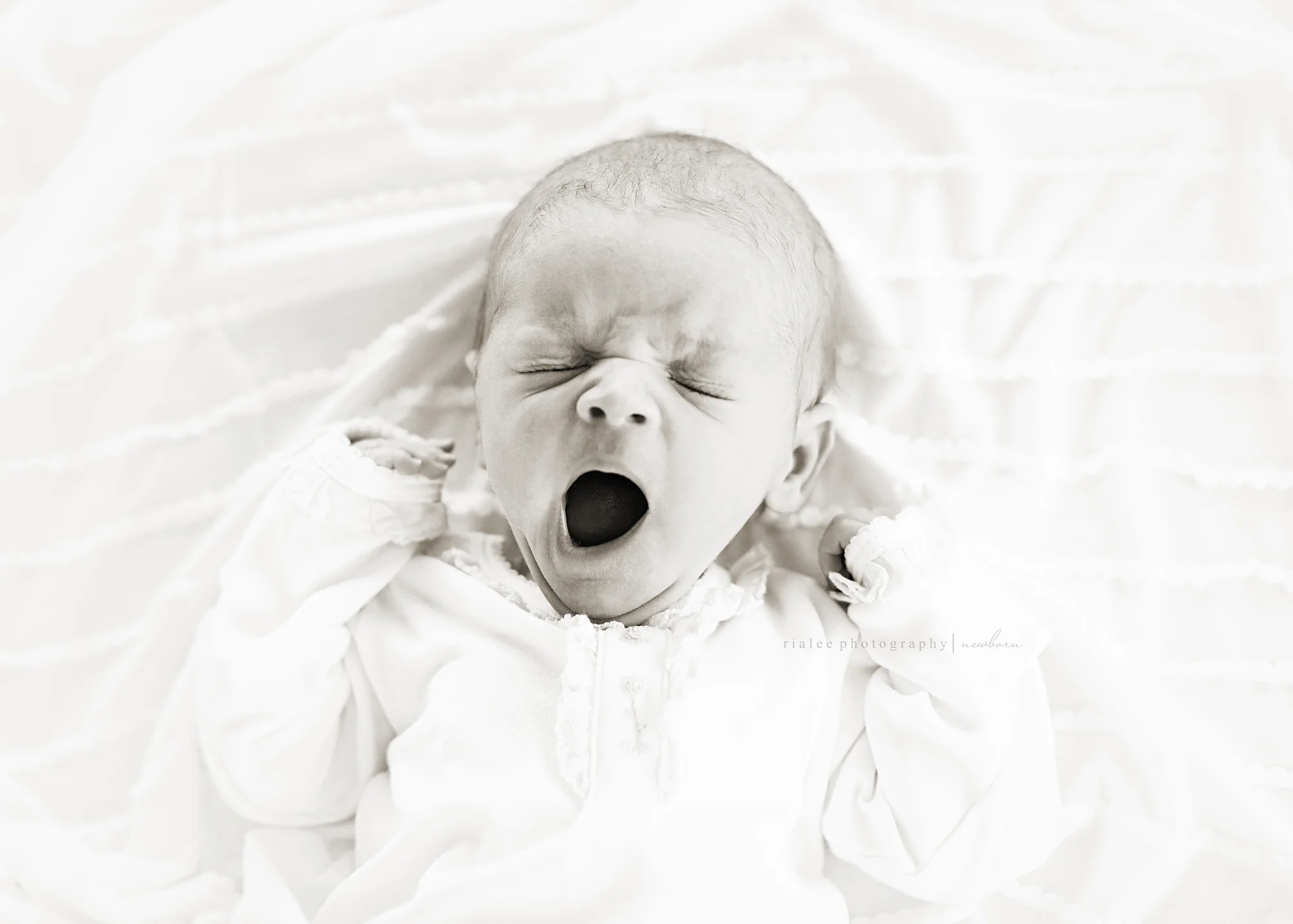 newbornphotographersinfargo.jpg