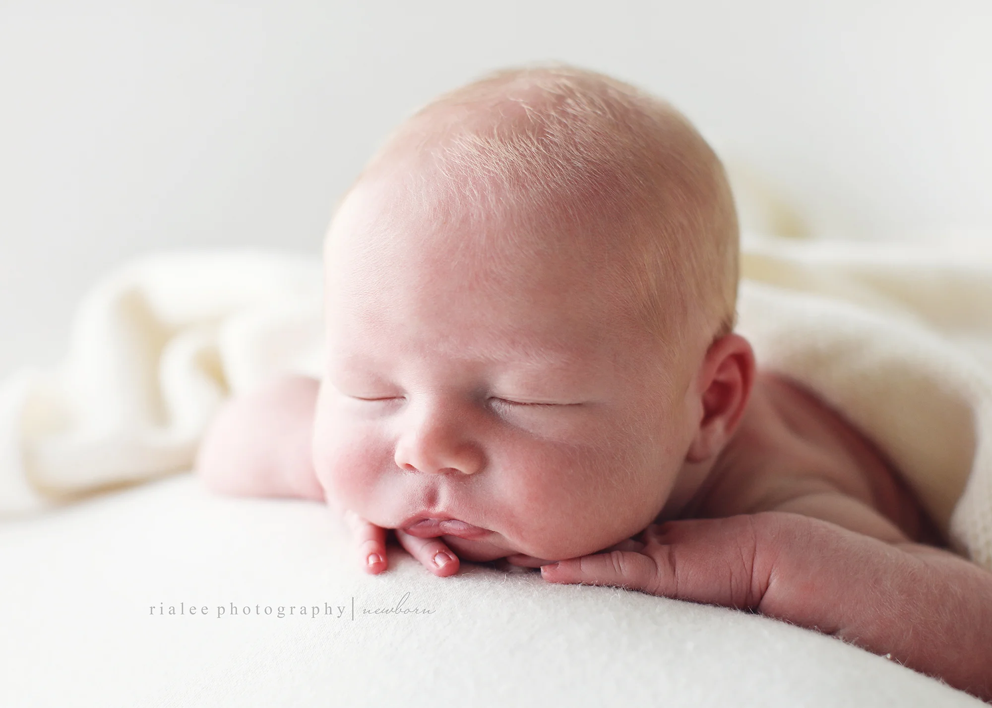 bestnewbornphotographersfargo.jpg