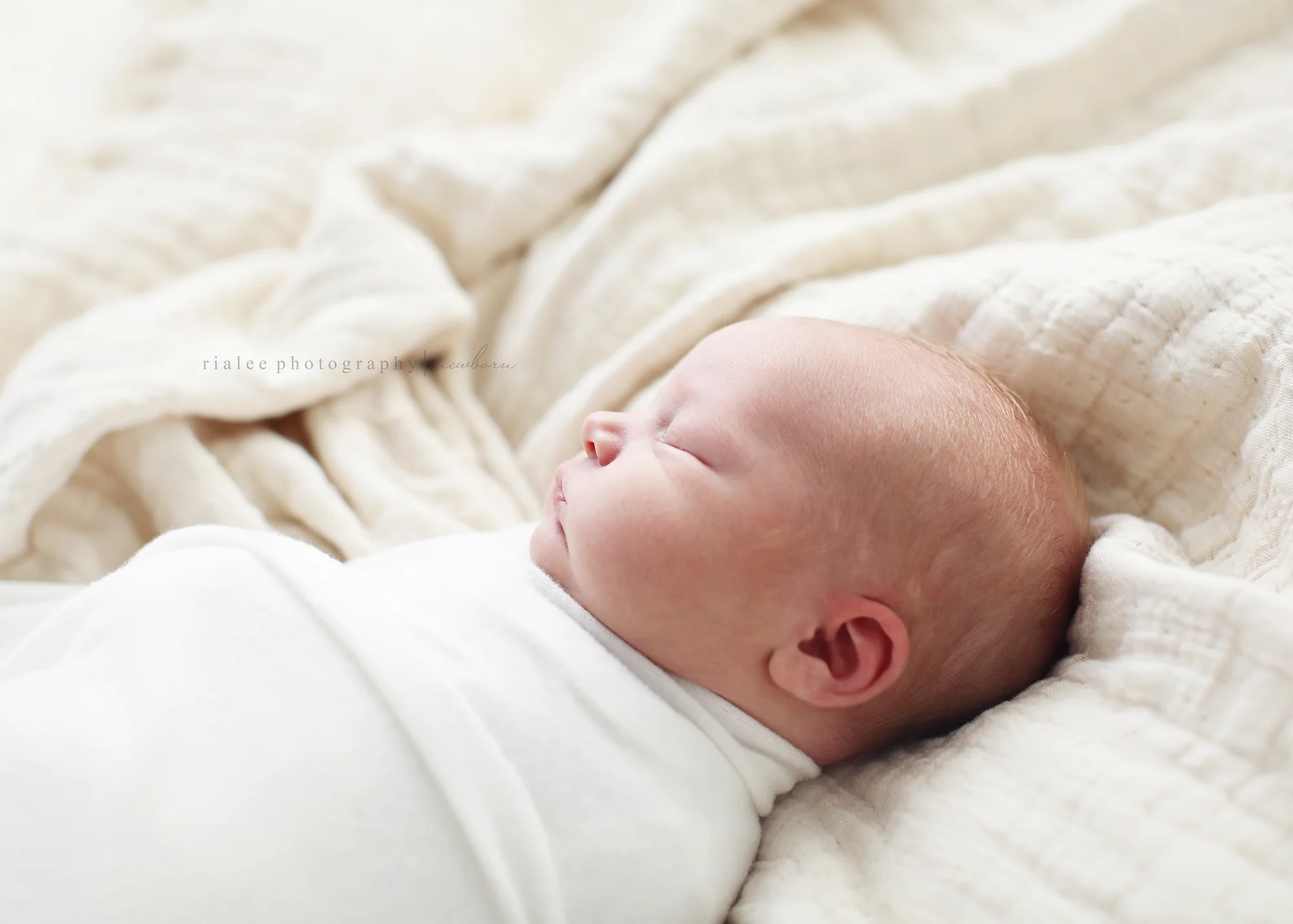 fargondnewbornphotography.jpg