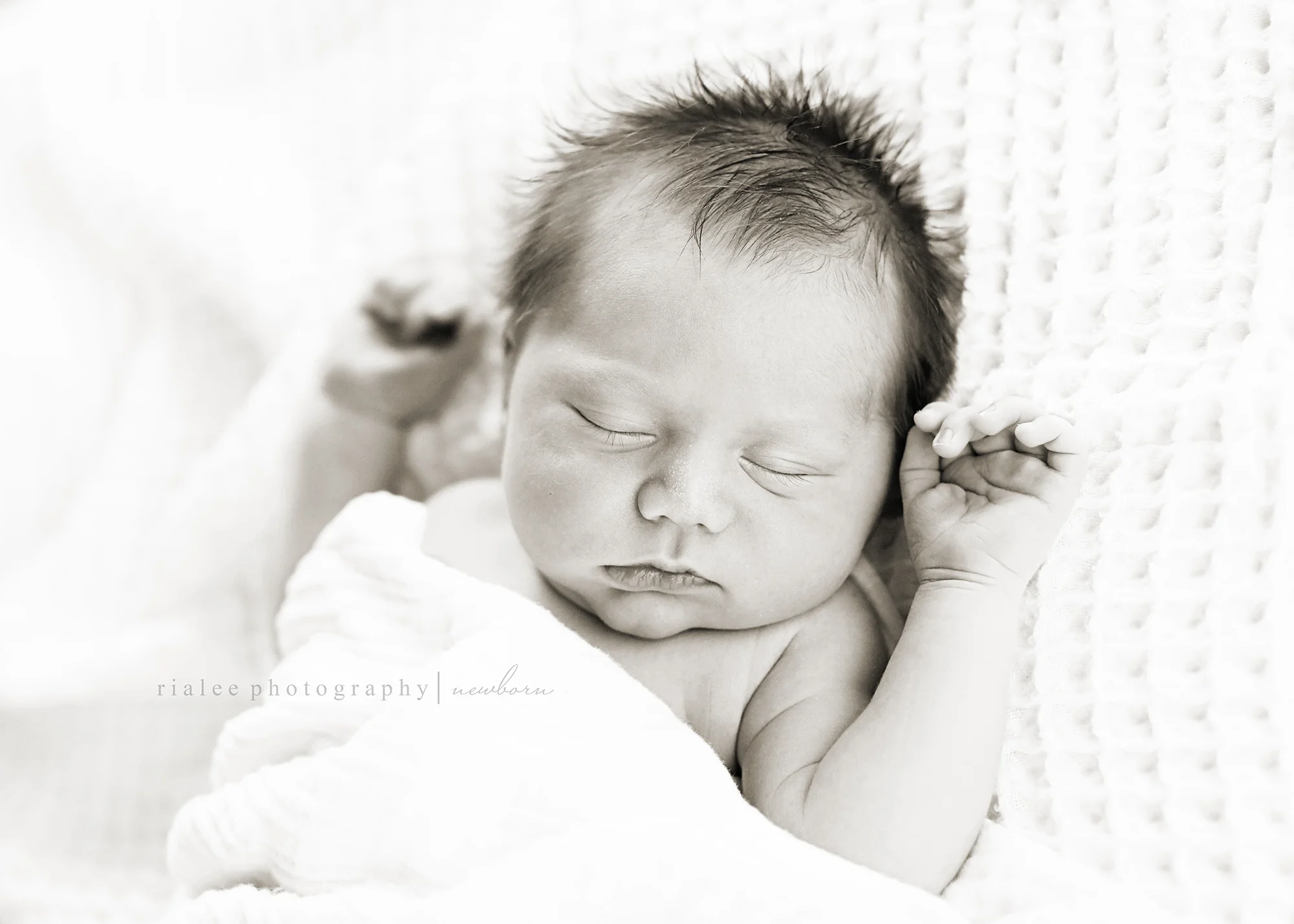 bestbabyphotographersfargond.jpg