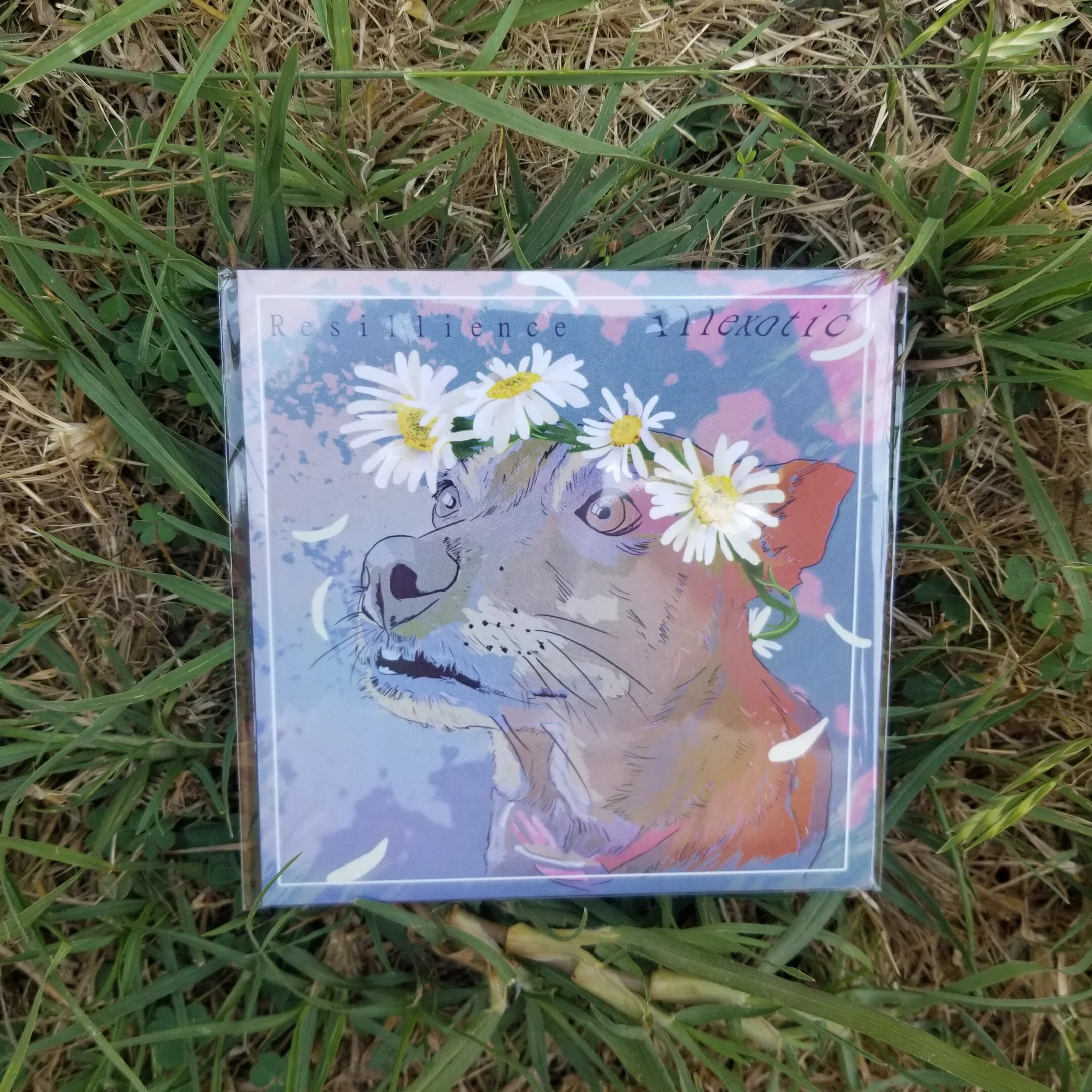 illexotic - Resillience CD
