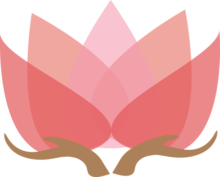 lotus-with-hands-1889661_960_720.png