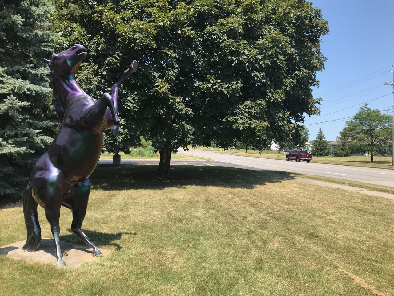 “Horse of a Different Color” | Located at The Norman Howard School in Henrietta, NY | Photo: Matt Foote