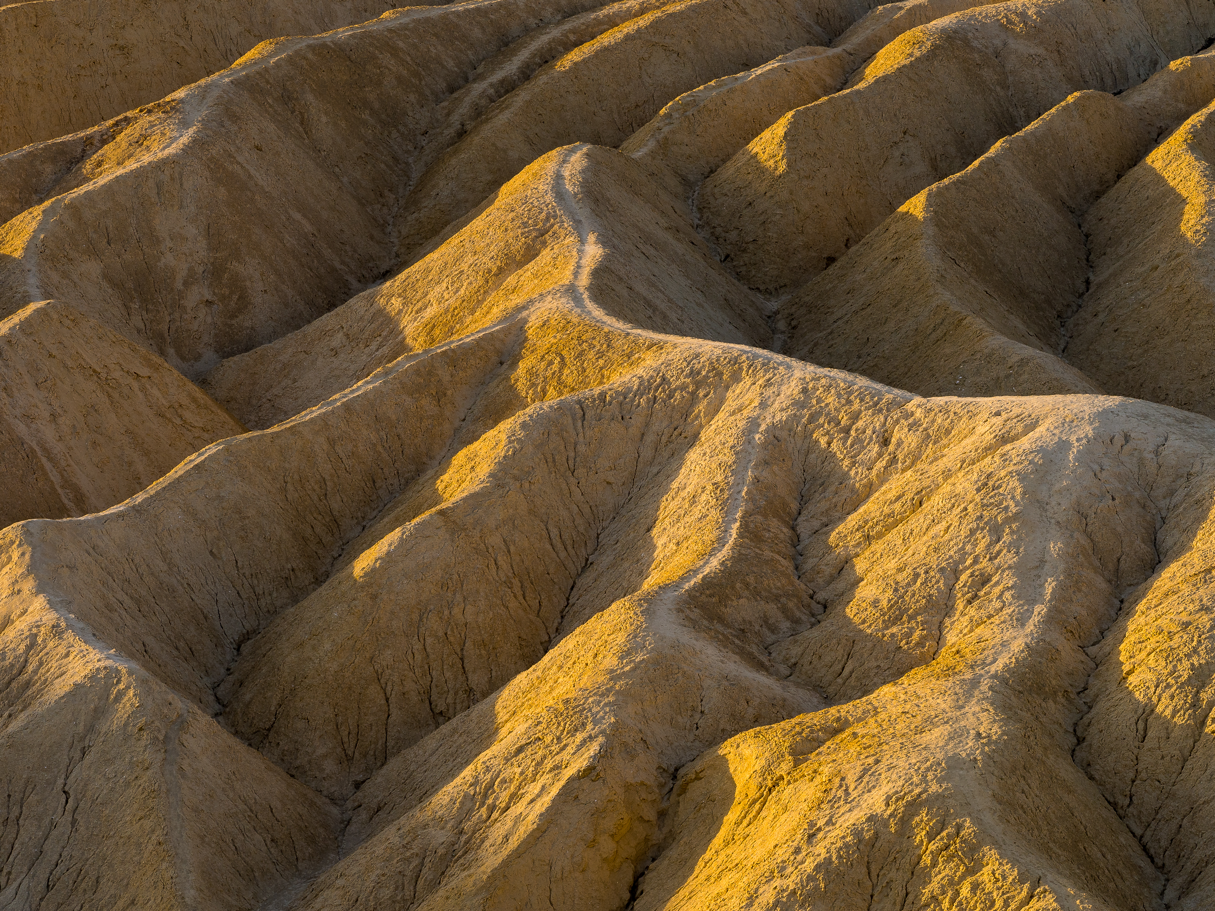 Death Valley Zabriskie Point Sunrise-46.jpg