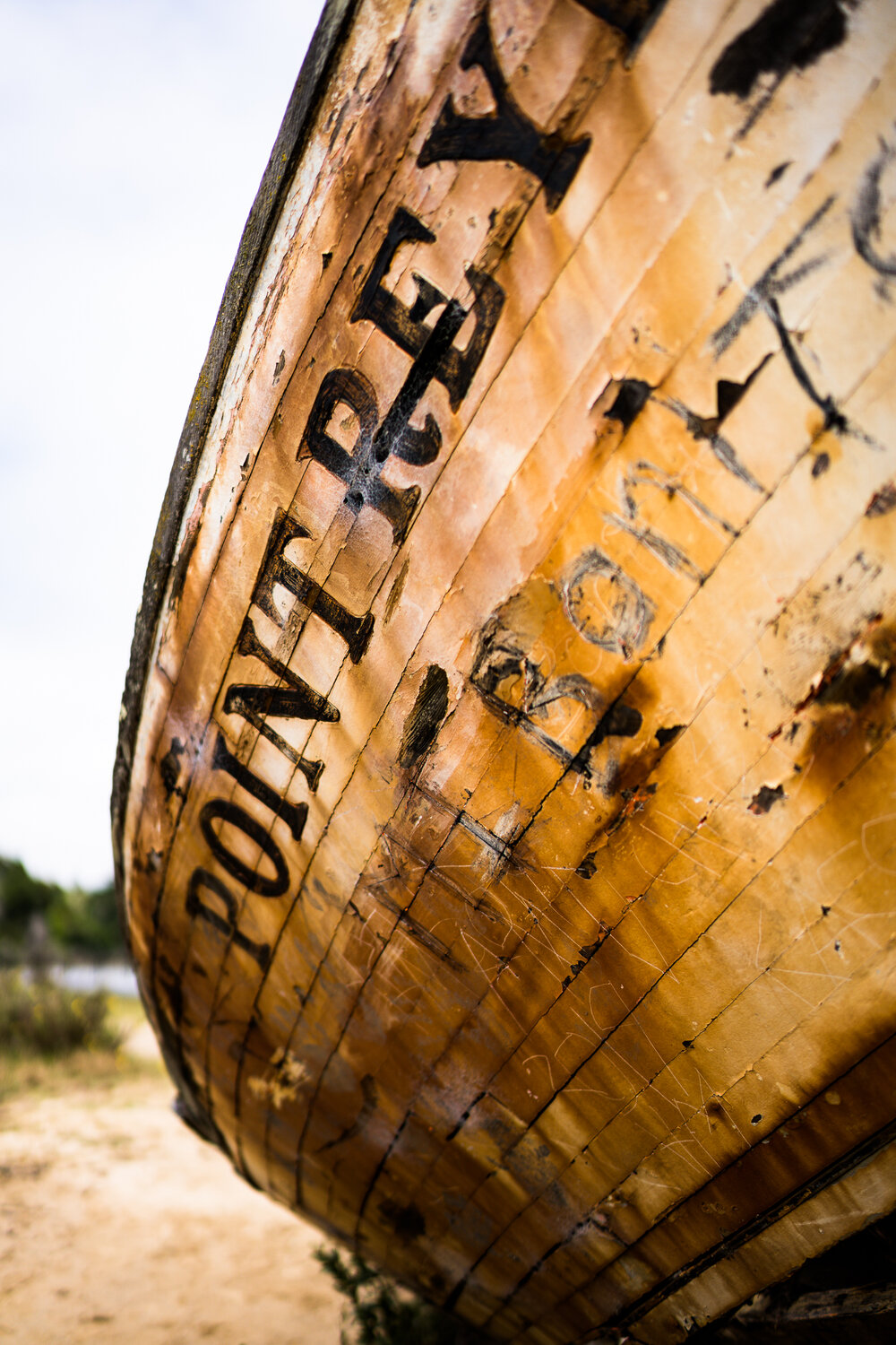 Point Reyes Shipwreck-3.jpg