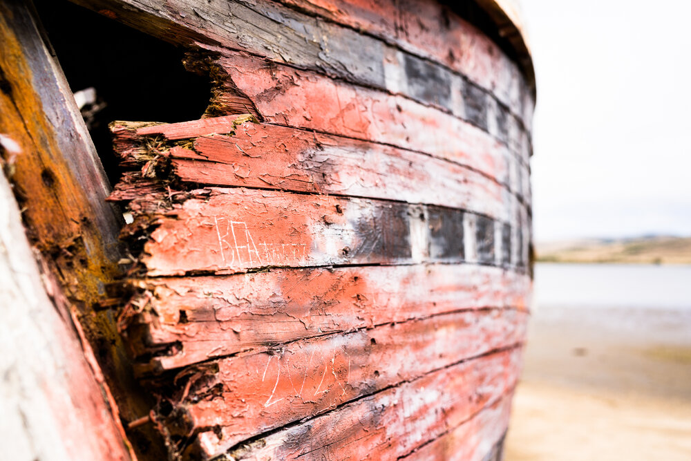 Point Reyes Shipwreck-4.jpg