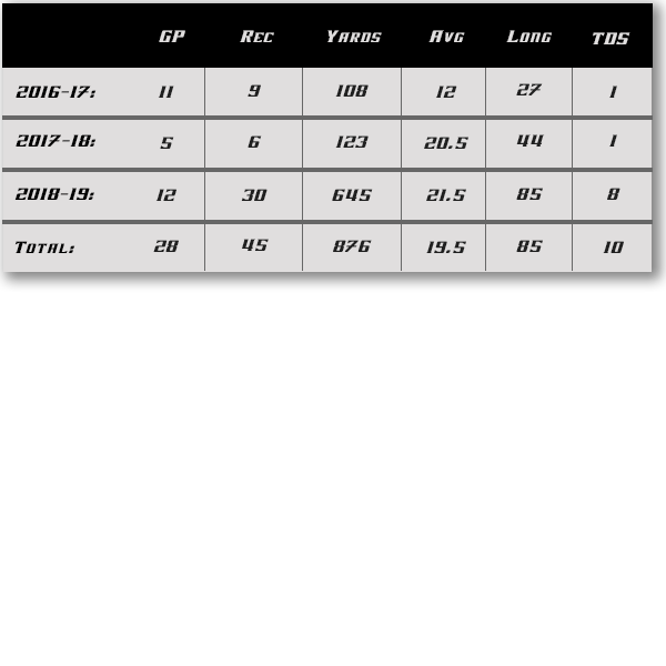 hayden rucci_stats.png