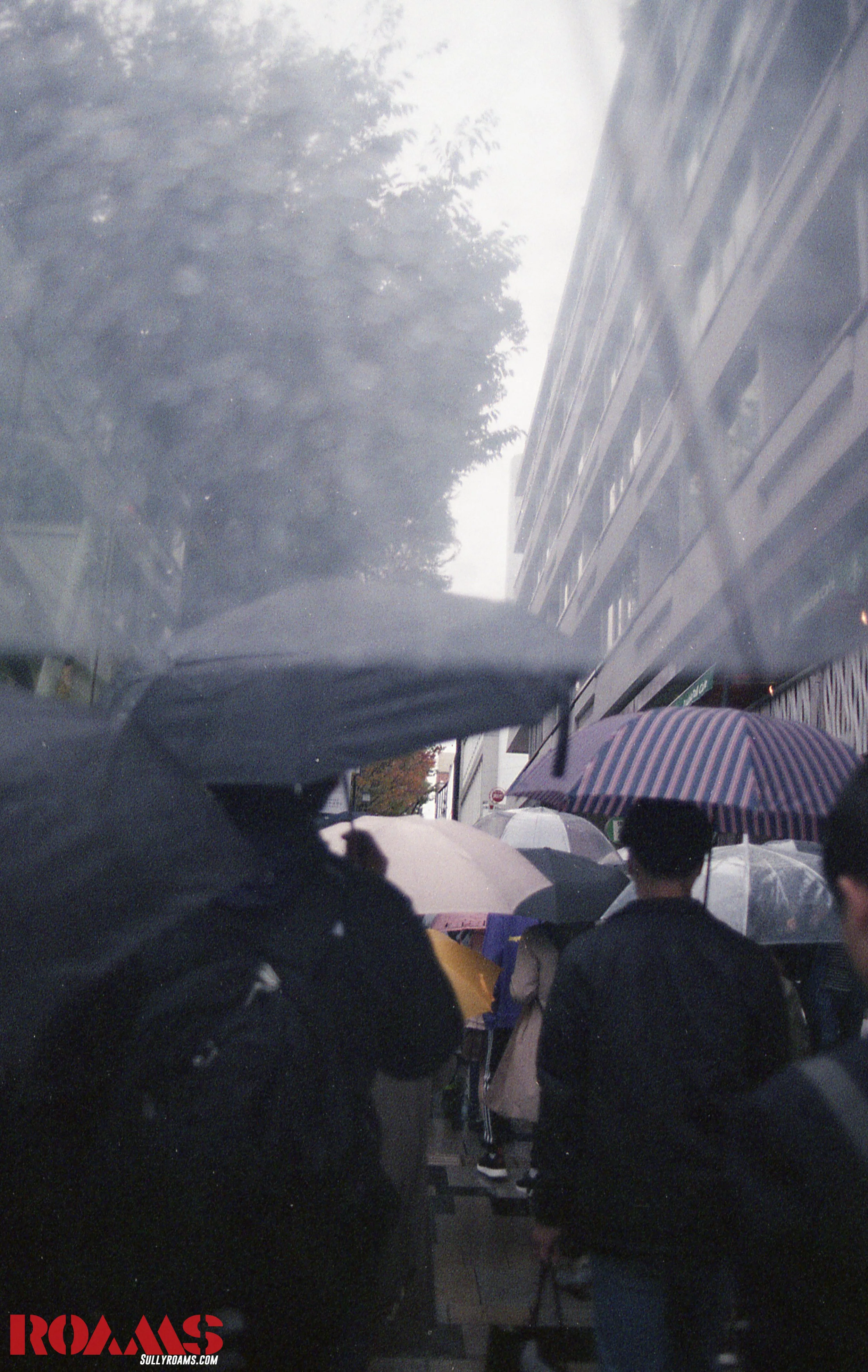 JP-Film496.jpg