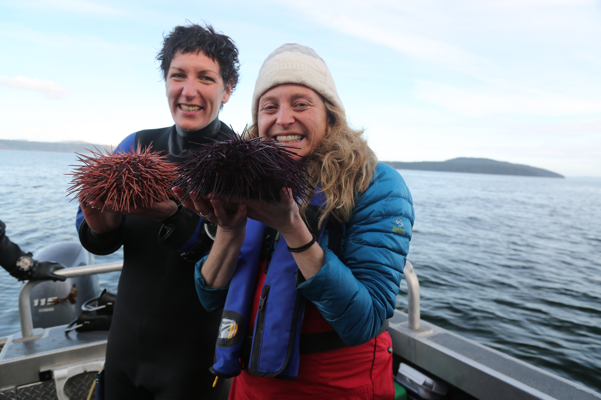 The "Ms. Scientist" documentary is now available for viewers outside of Canada on Vimeo On Demand