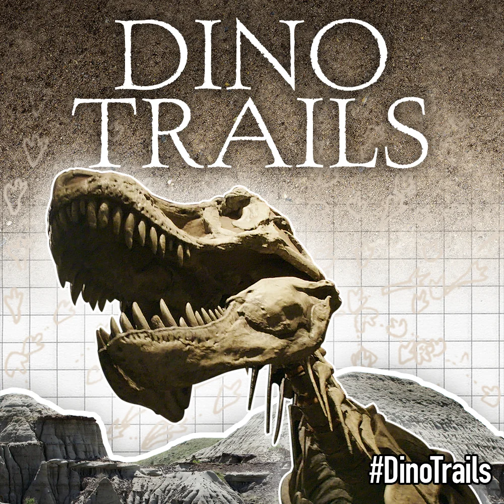 Brandy Yanchyk's films "Dino Trails" and "The Dinosaur Echo" airing around the world! 