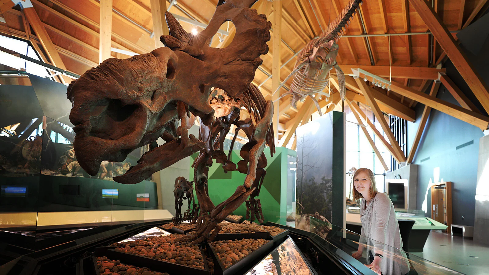 Watch Brandy Yanchyk's Travel series "Dino Trails" on Canada's WestJet Flights