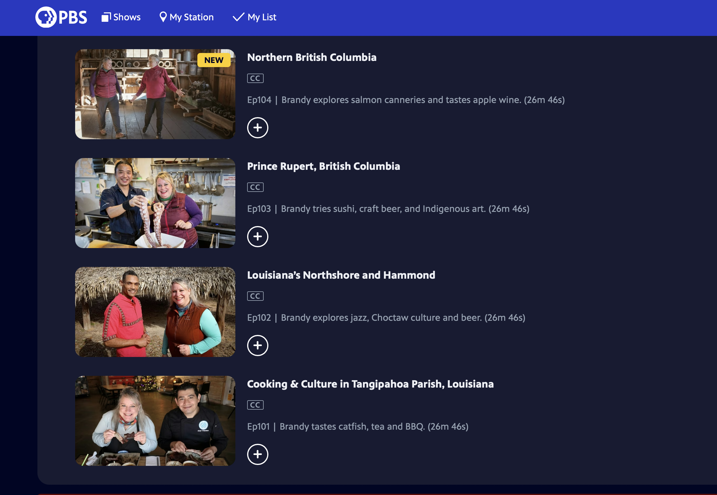 4 episodes of “Brandy Yanchyk Sees the World”