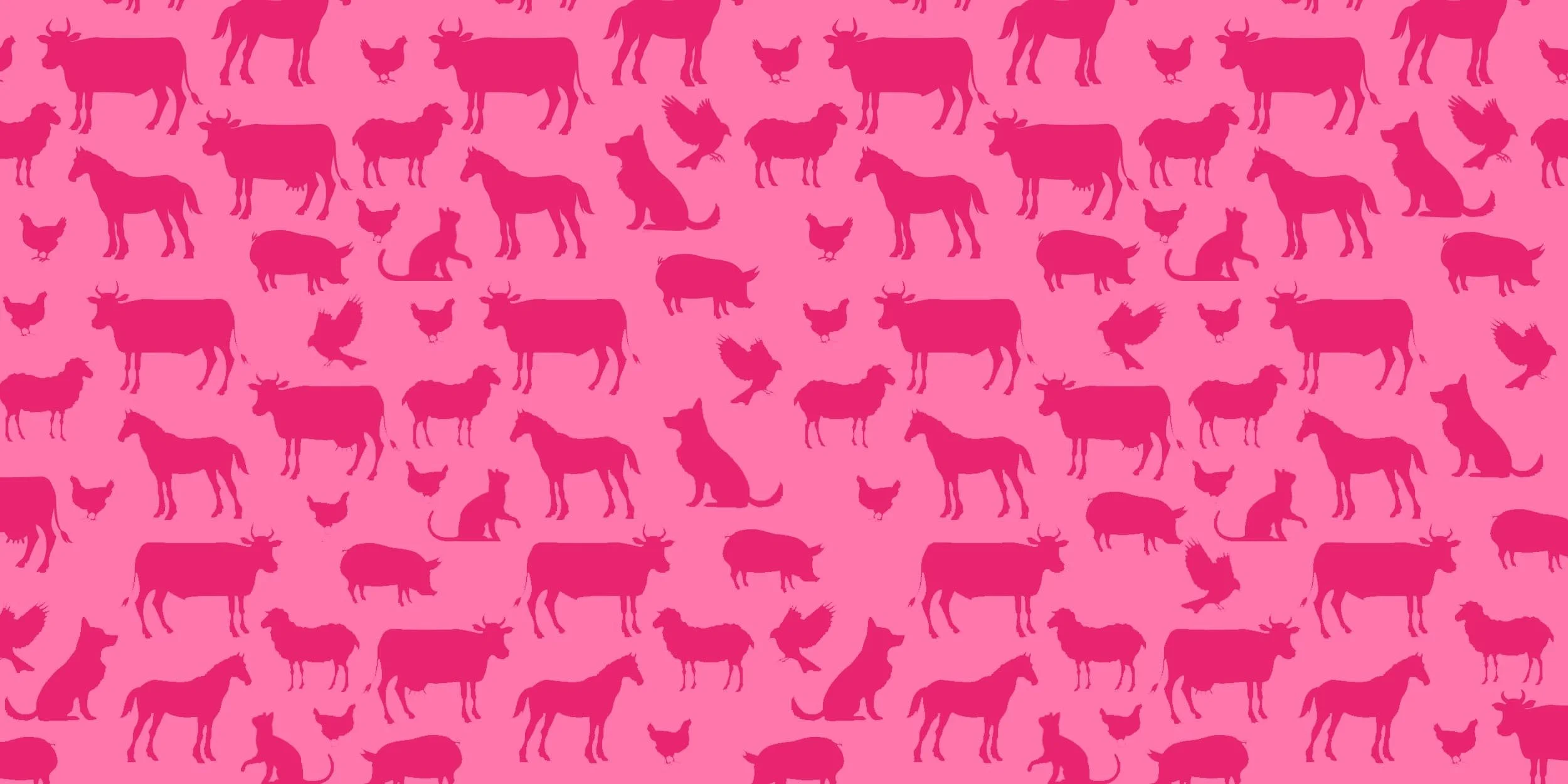 pattern-v2-min.jpg
