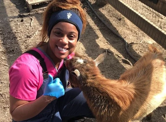 Ark Veterinary Services