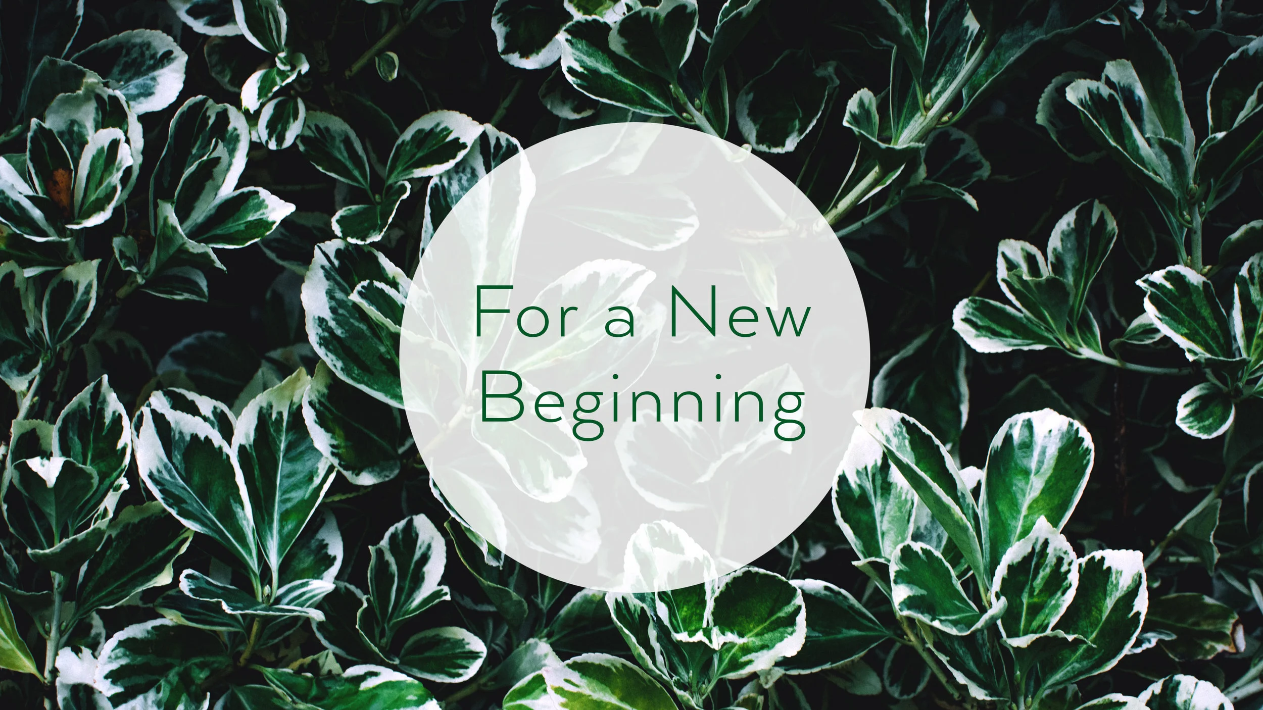 new-beginning.jpg