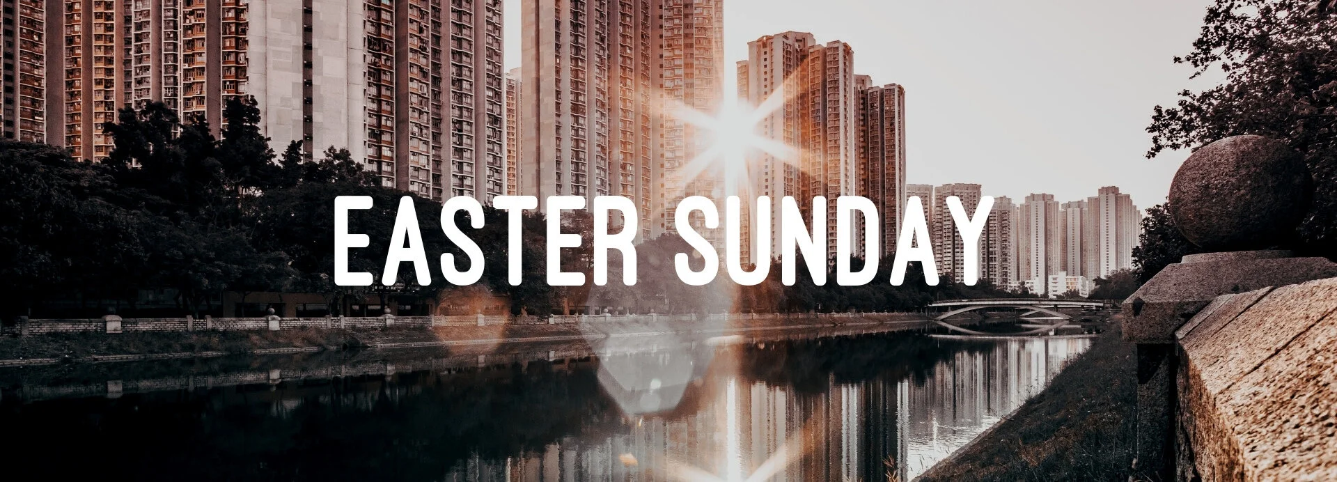 Copy of Copy of hope is alive 1920x692.jpg