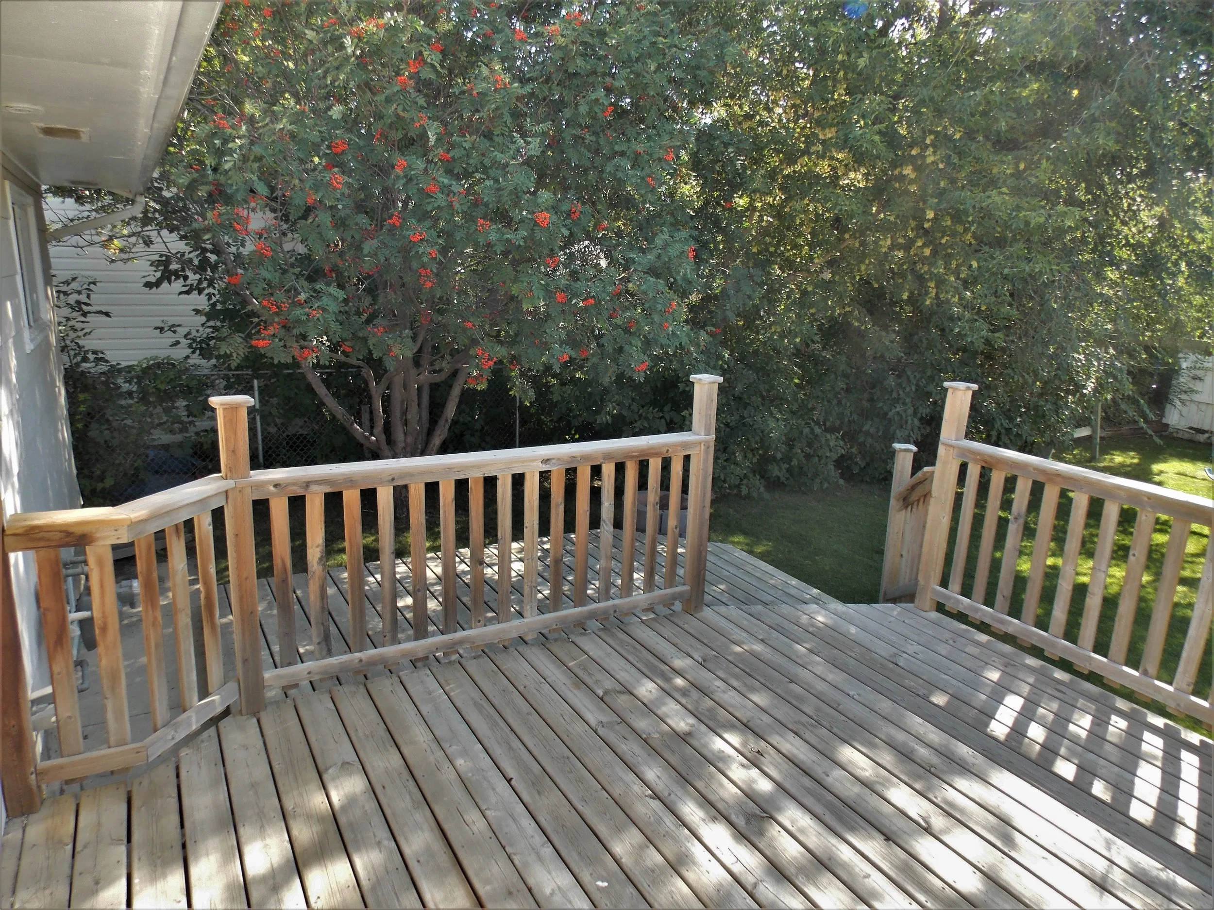 DSCN0638.JPG