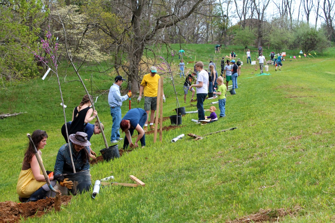 Tree planting.jpg
