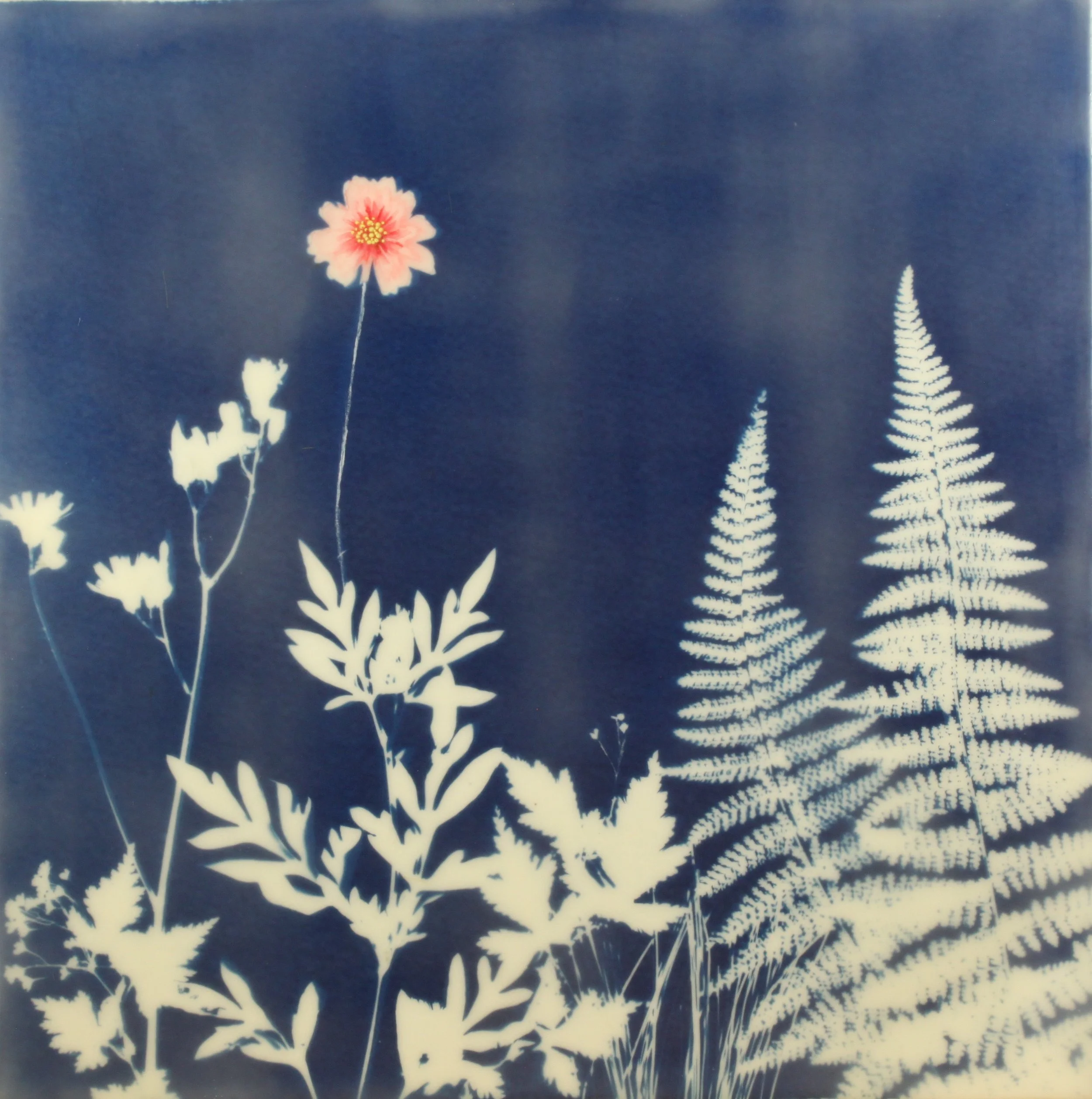 Cyan Garden #15082