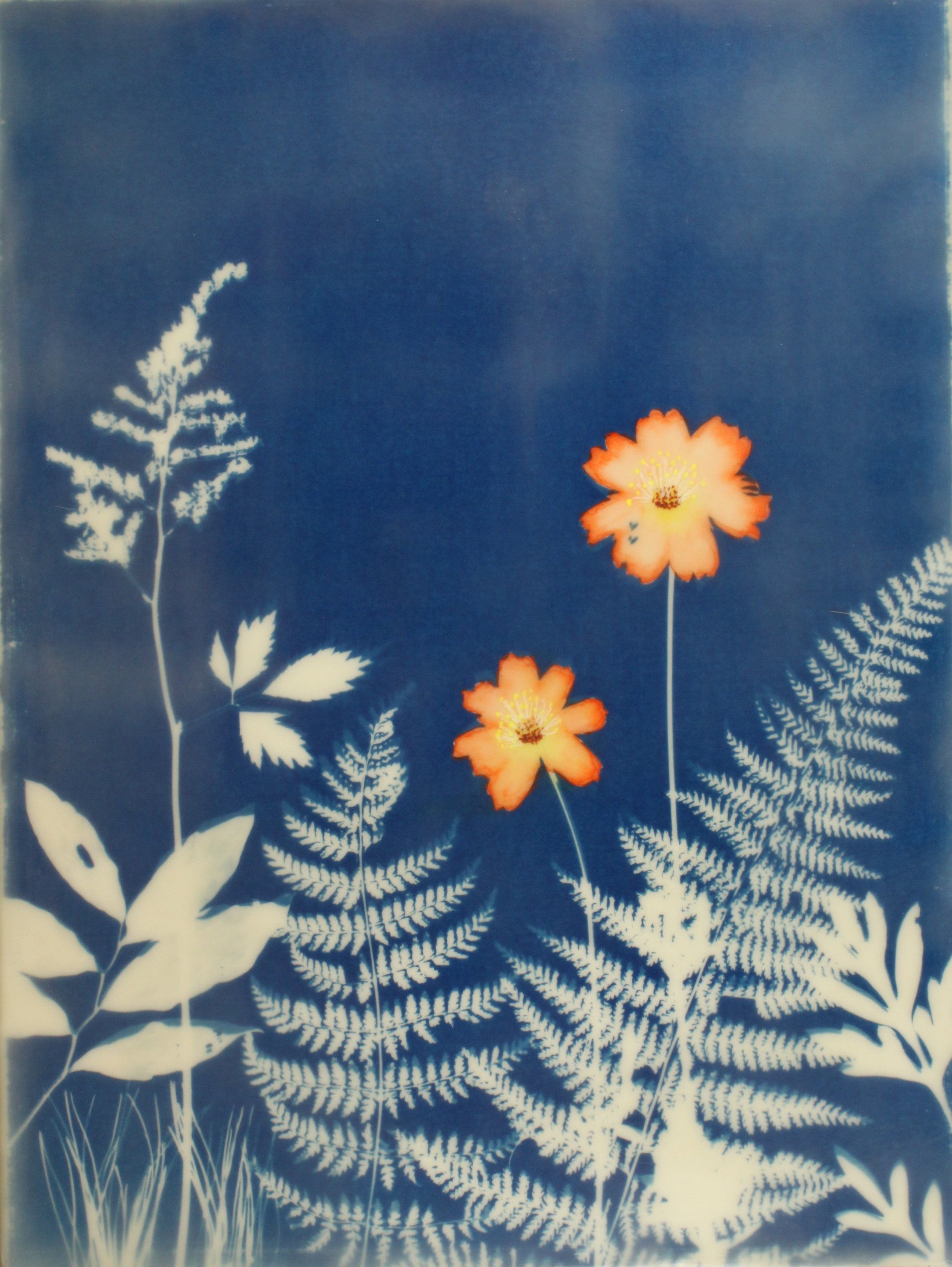 Cyan Garden #15083