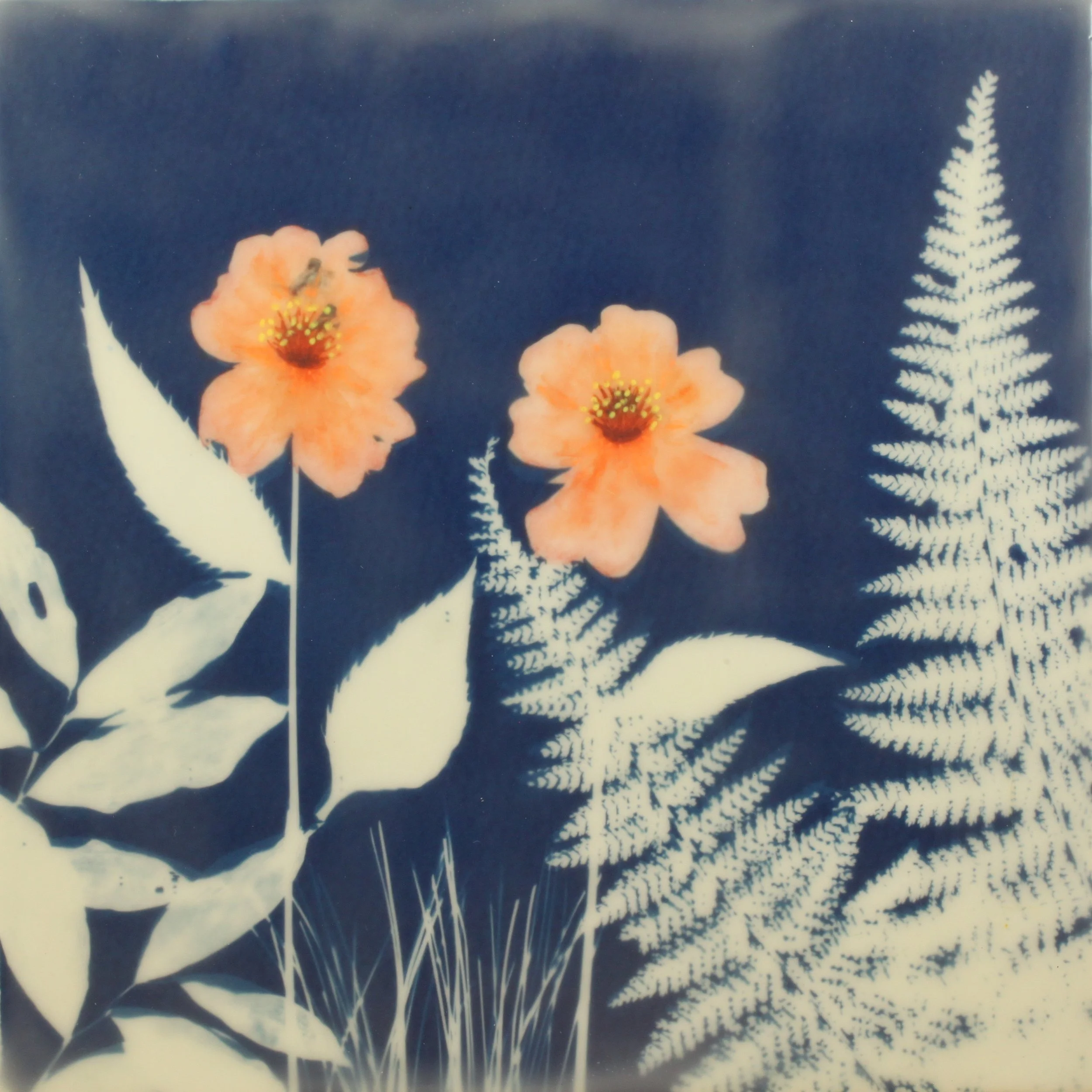 Cyan Garden #15068