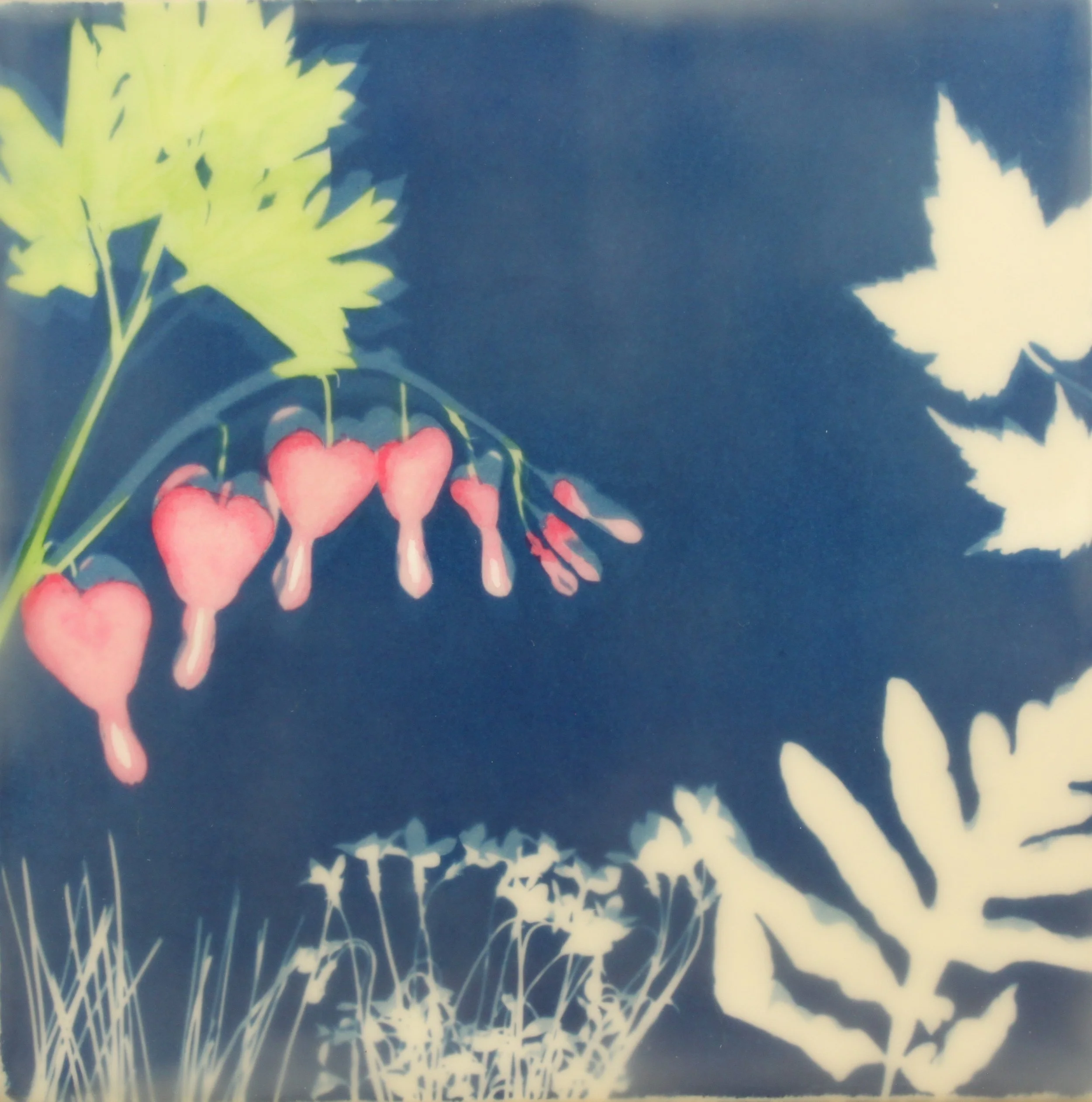 Cyan Garden #15144