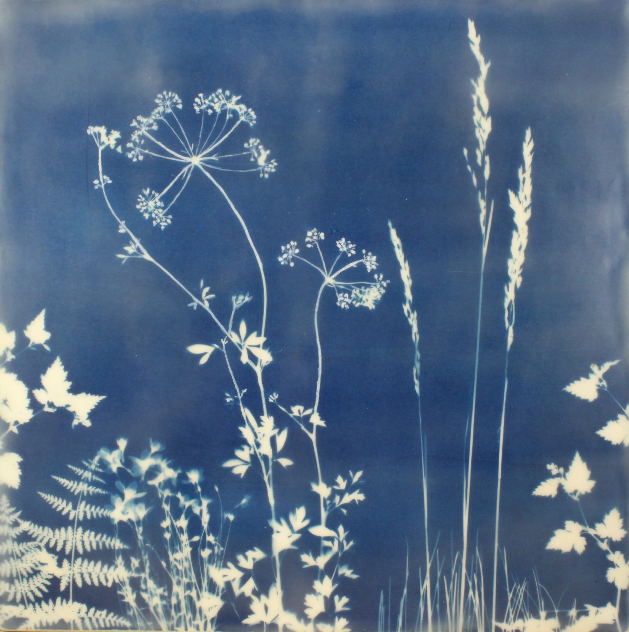 Cyan Garden #15175