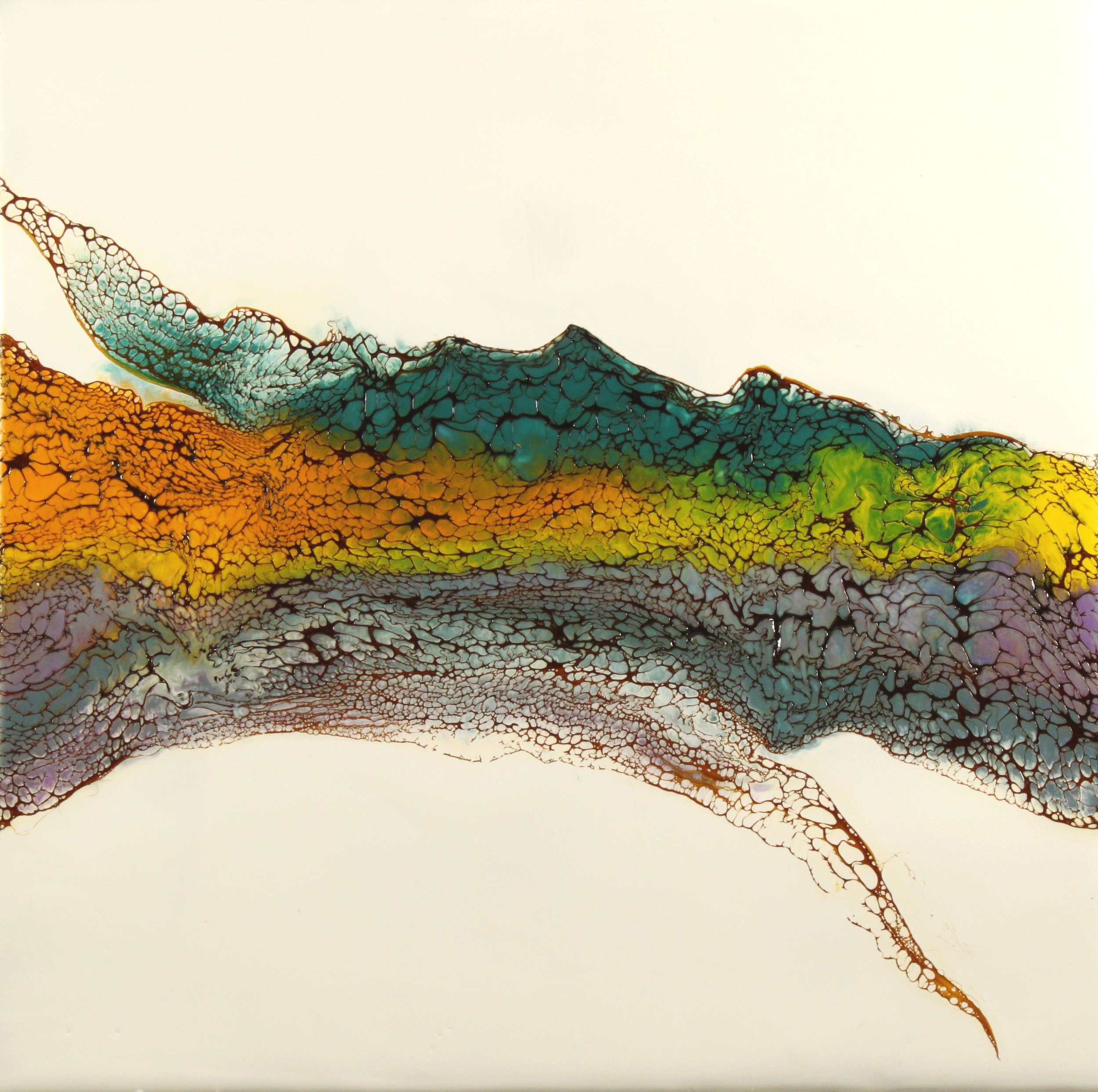 14024 Rainbow Split